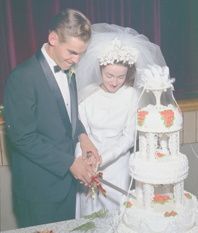 Allan Johnson - Laura Van Hoe