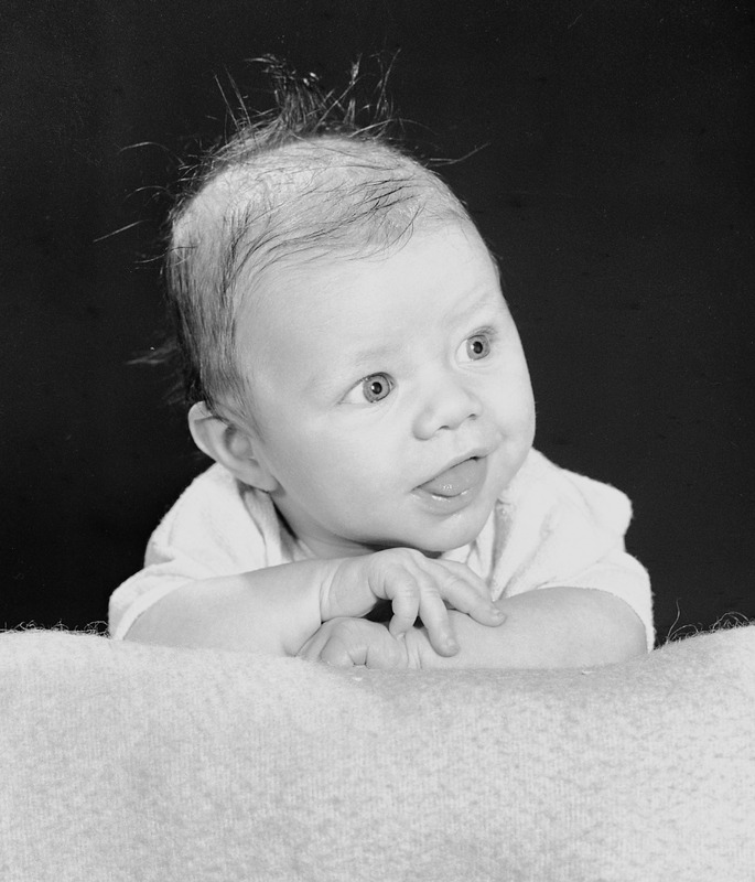 Daniel Donahue