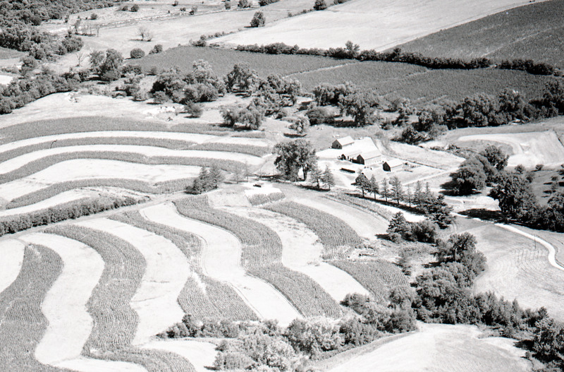 Morrison Farm Bureau