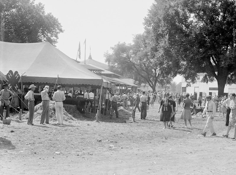 Whiteside County Fair Shots