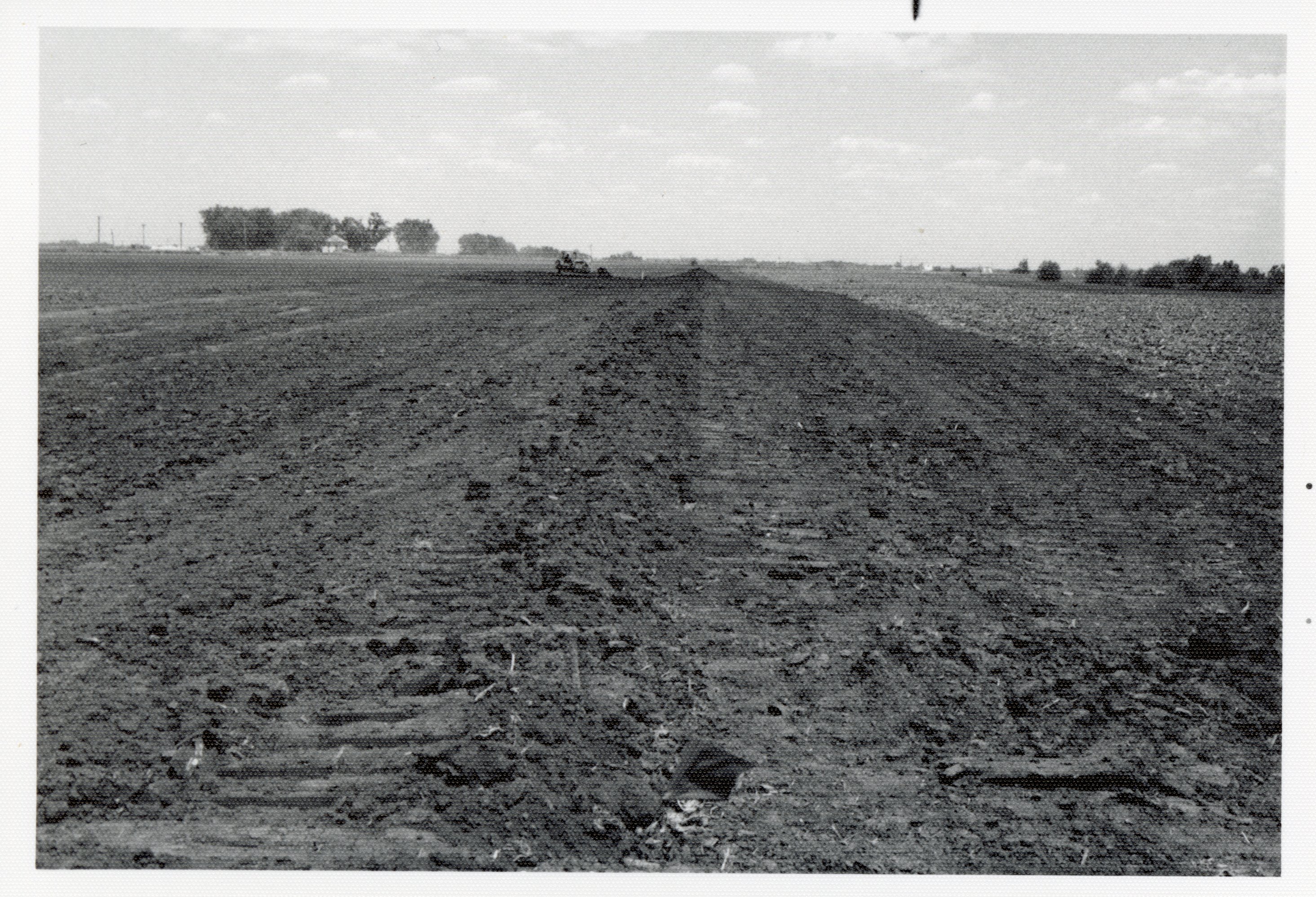 Bulldozed farmland
