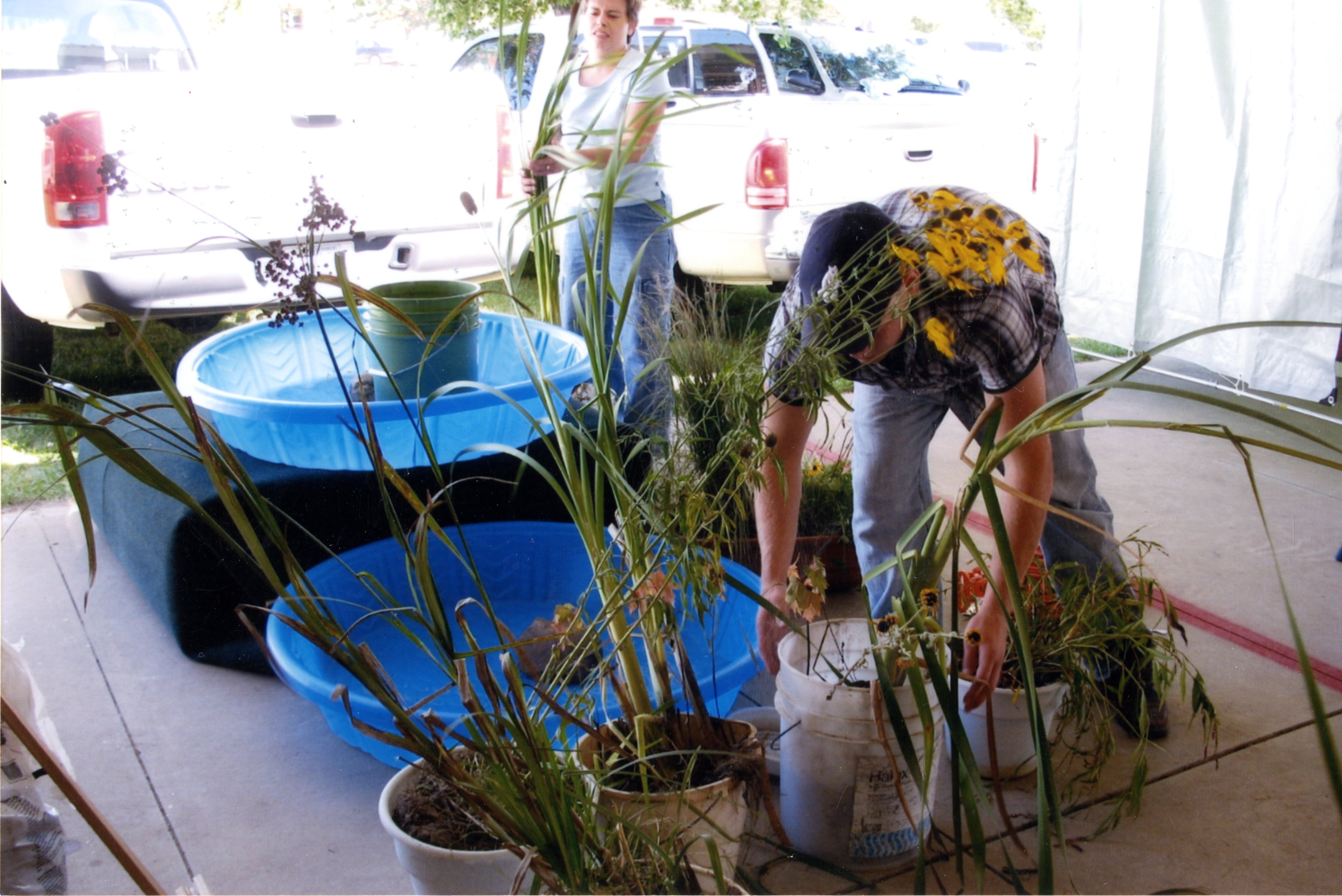 2008  Fair Booth worker Jay Jemison assists with water plant display at the Des Moines County  Fair in Burlington, Iowa