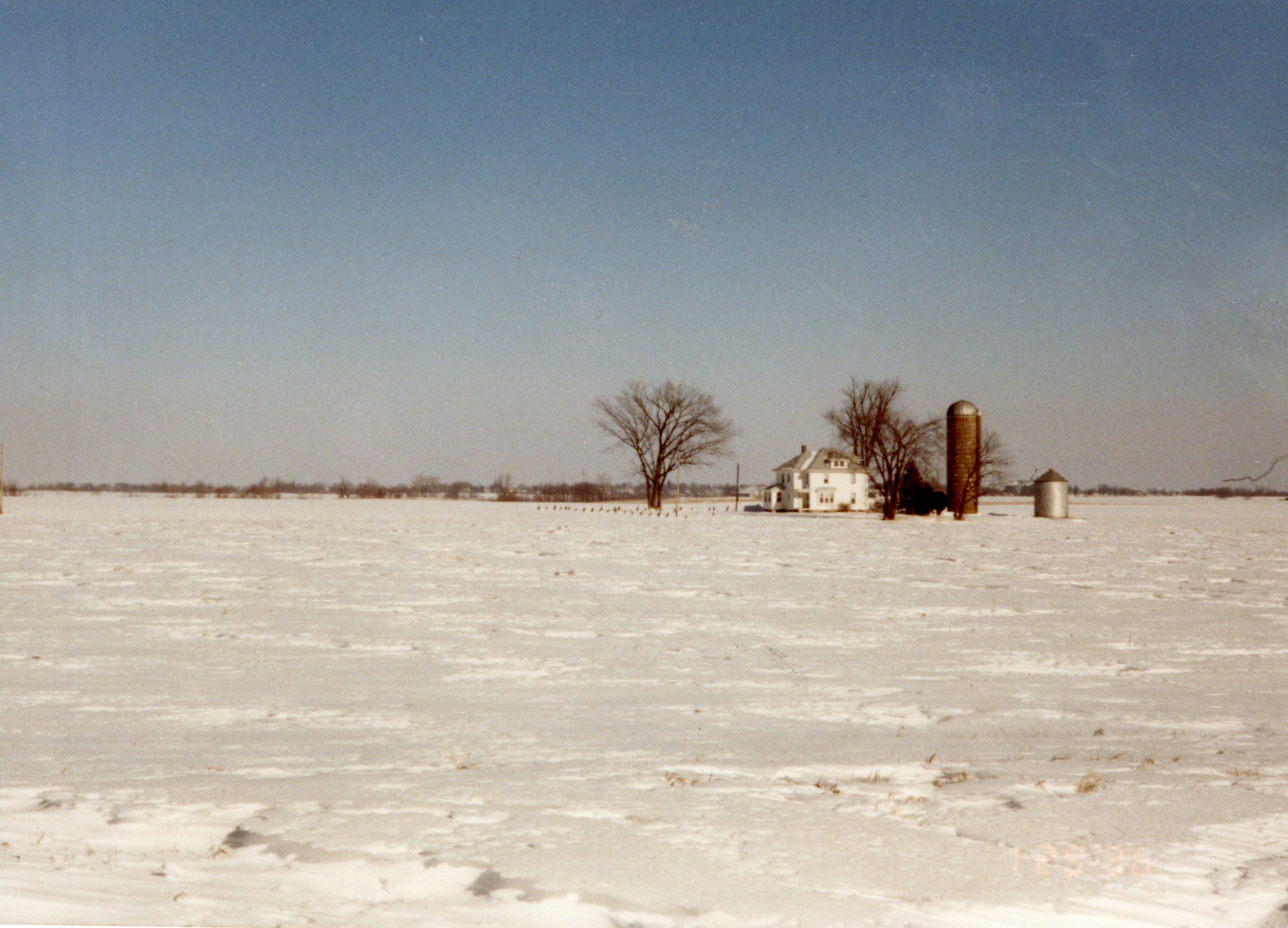 1990's Windbreak on a wintry day constructed by Consolidated Properties