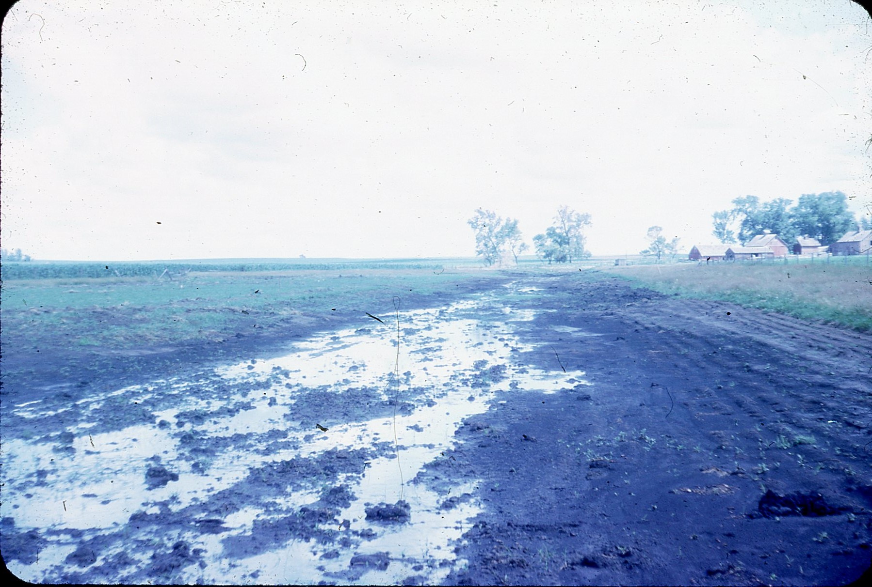 Waterway before tiles on G. Miller's farm.