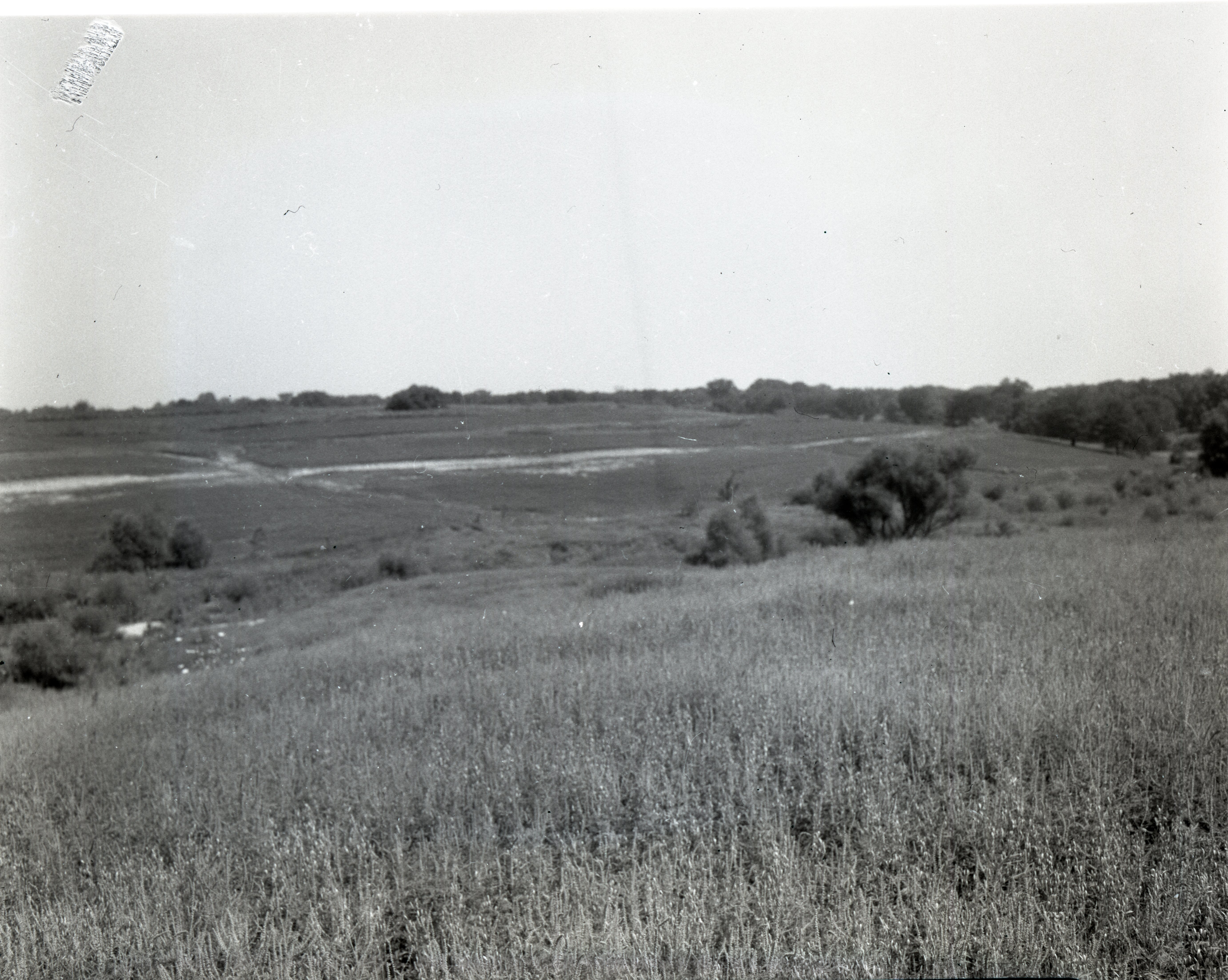 Grasslands and terracing in the distance