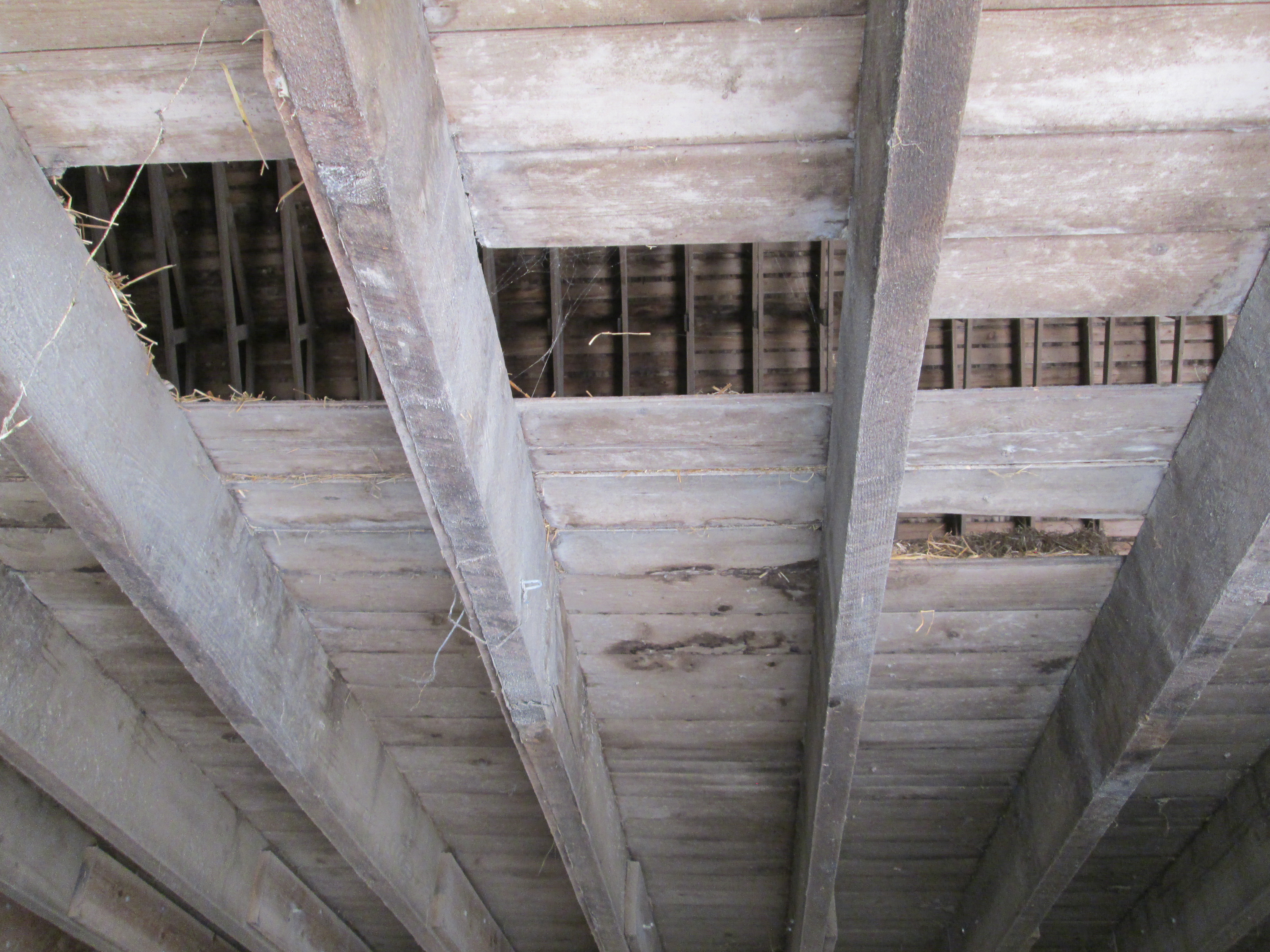 046. Inside Barn #5