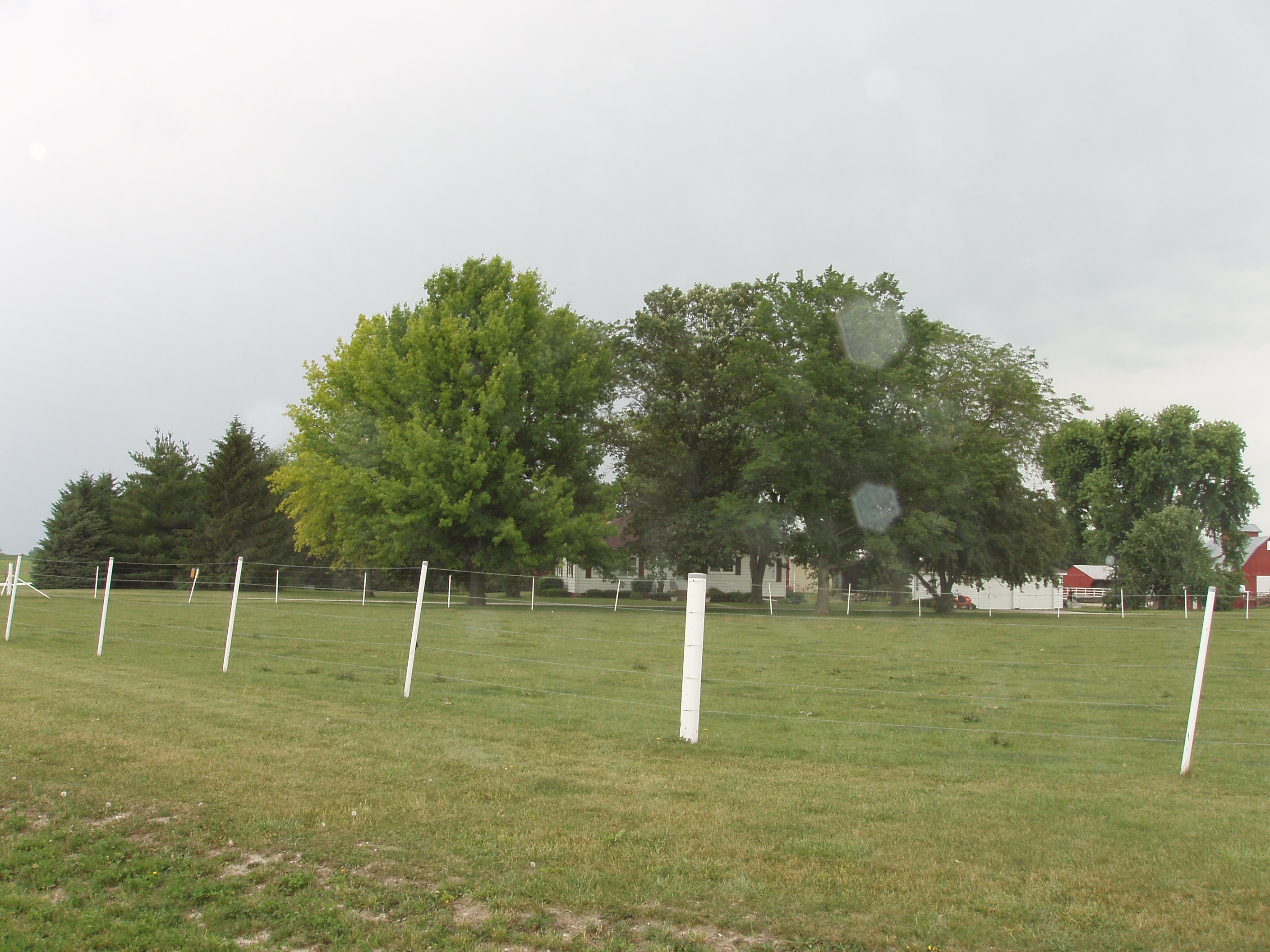 2006 Cling Farmstead