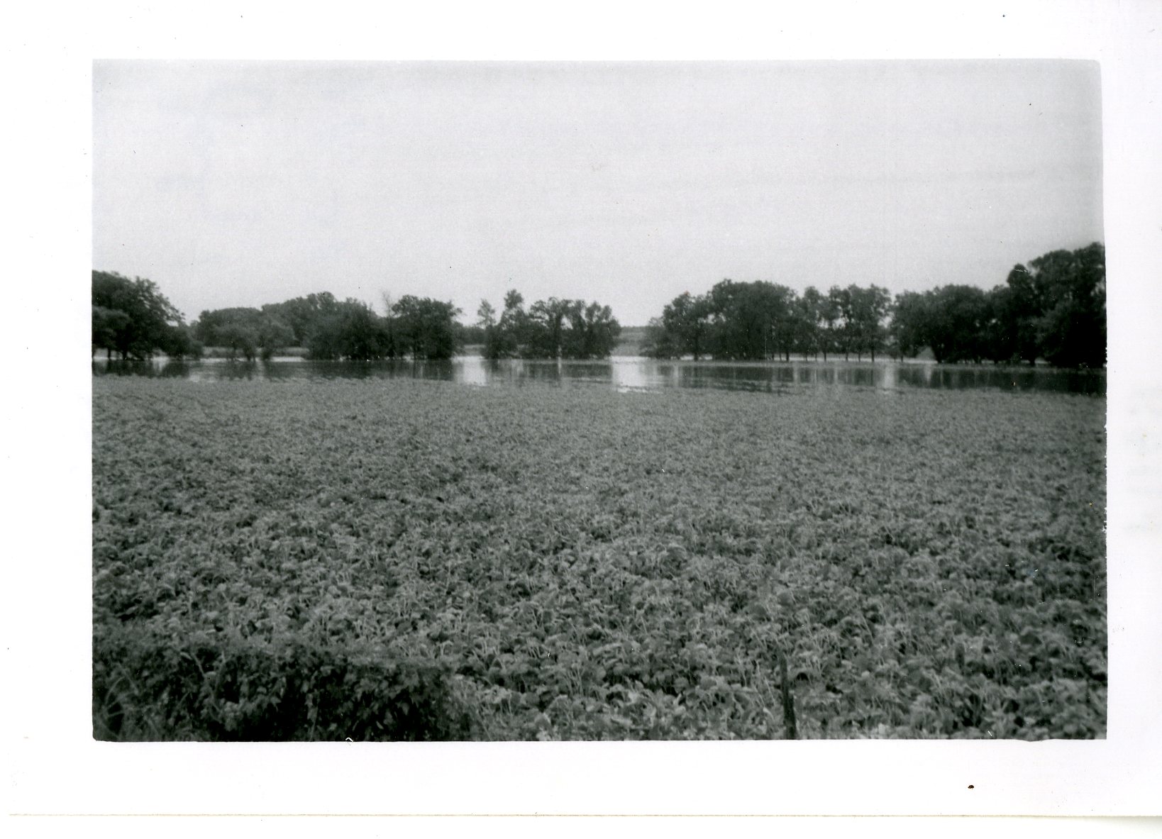 Otter Creek In Flood, 1958