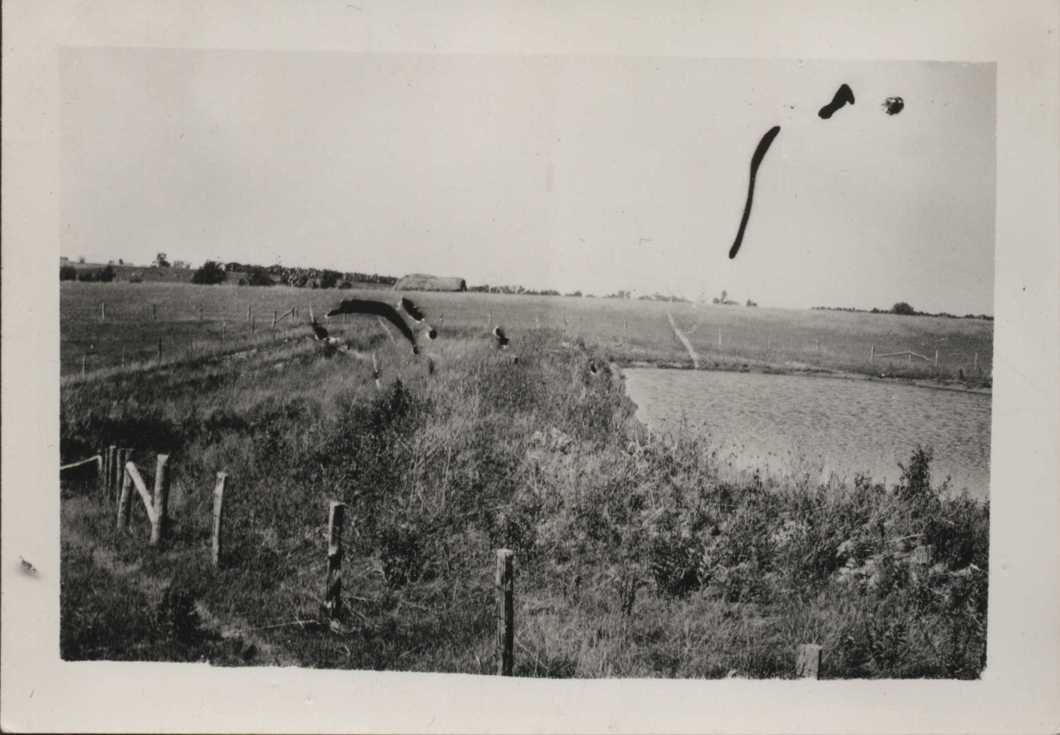 West pond on Bert Monroe's farm.