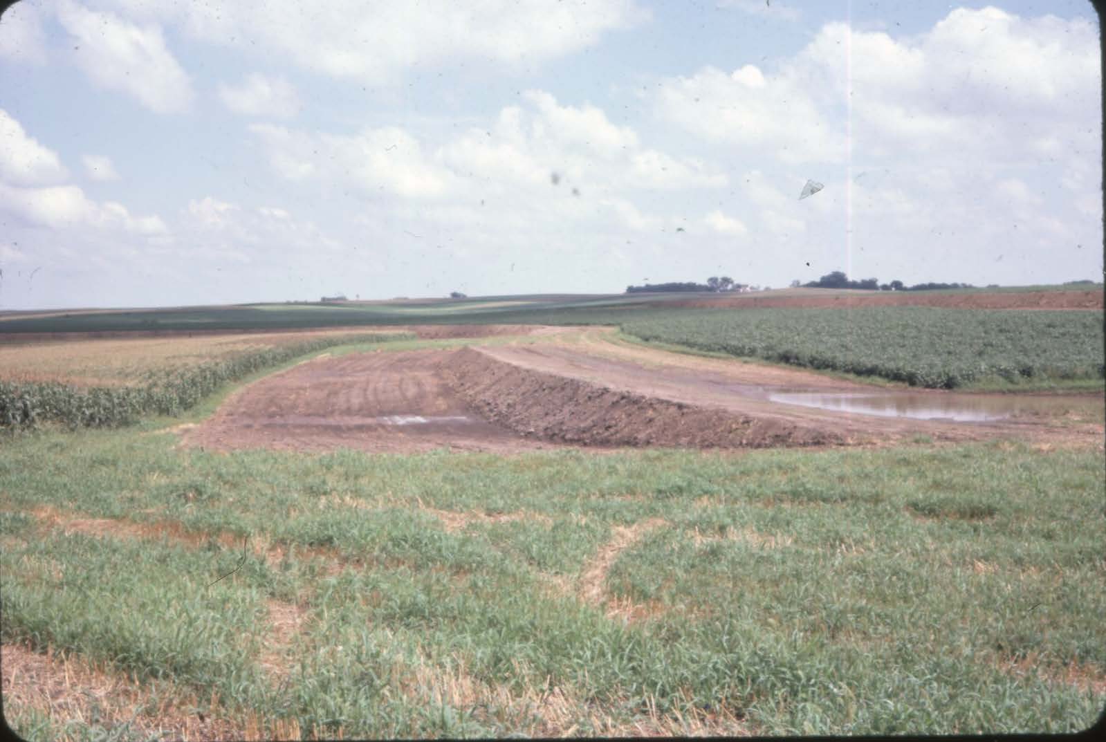 Terrace, 1980
