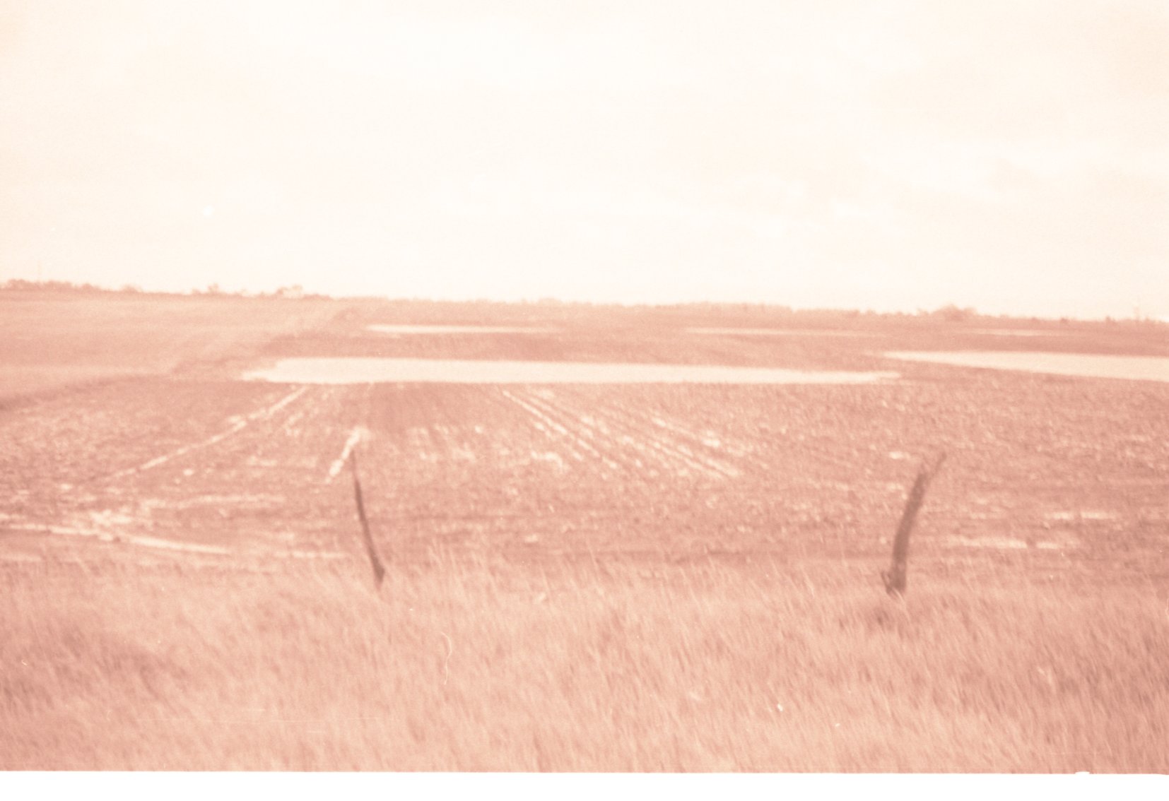 Fenced farmland with Water in the Field