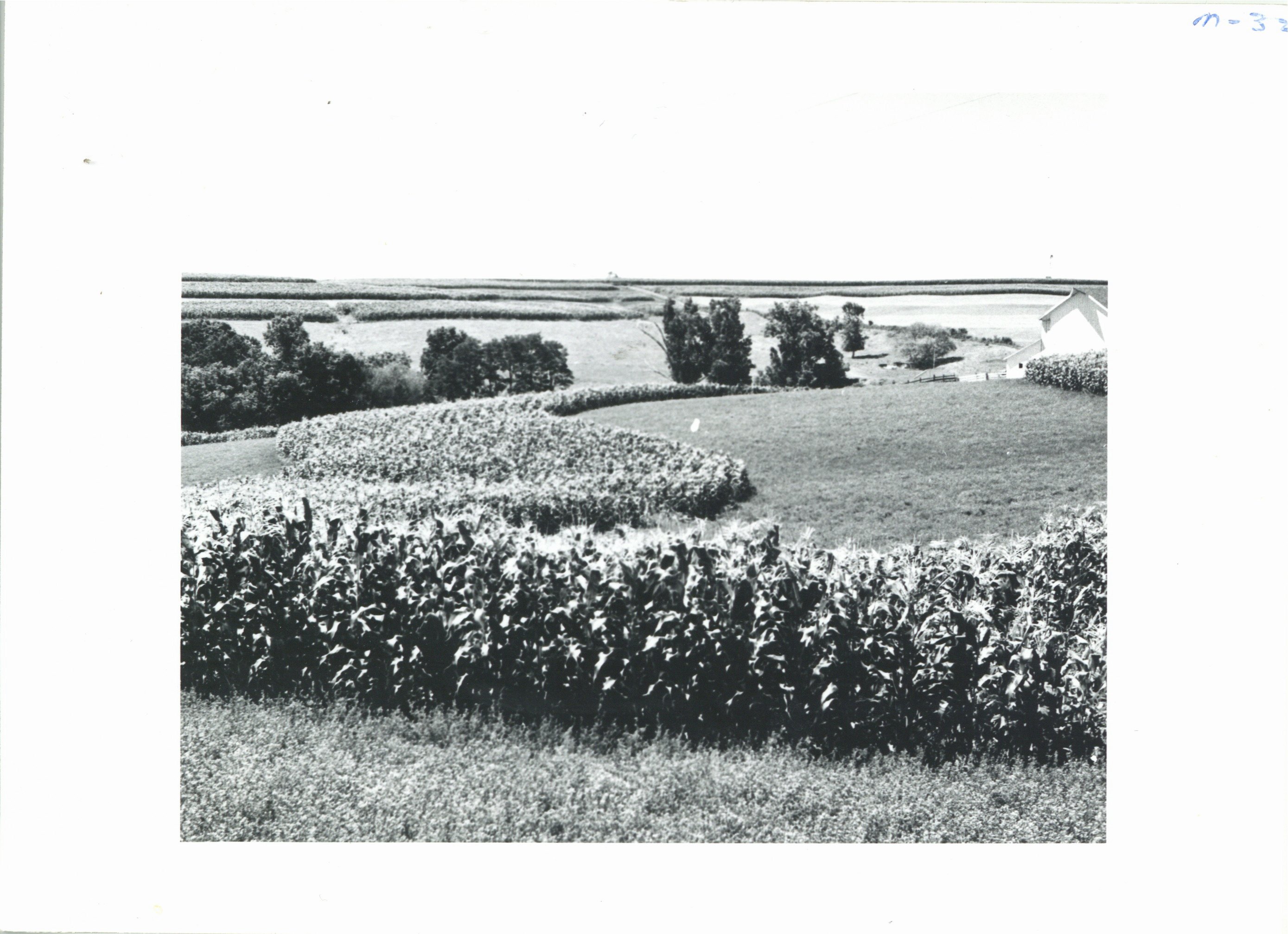 Strip cropping on Melvin Manders farm, 1963