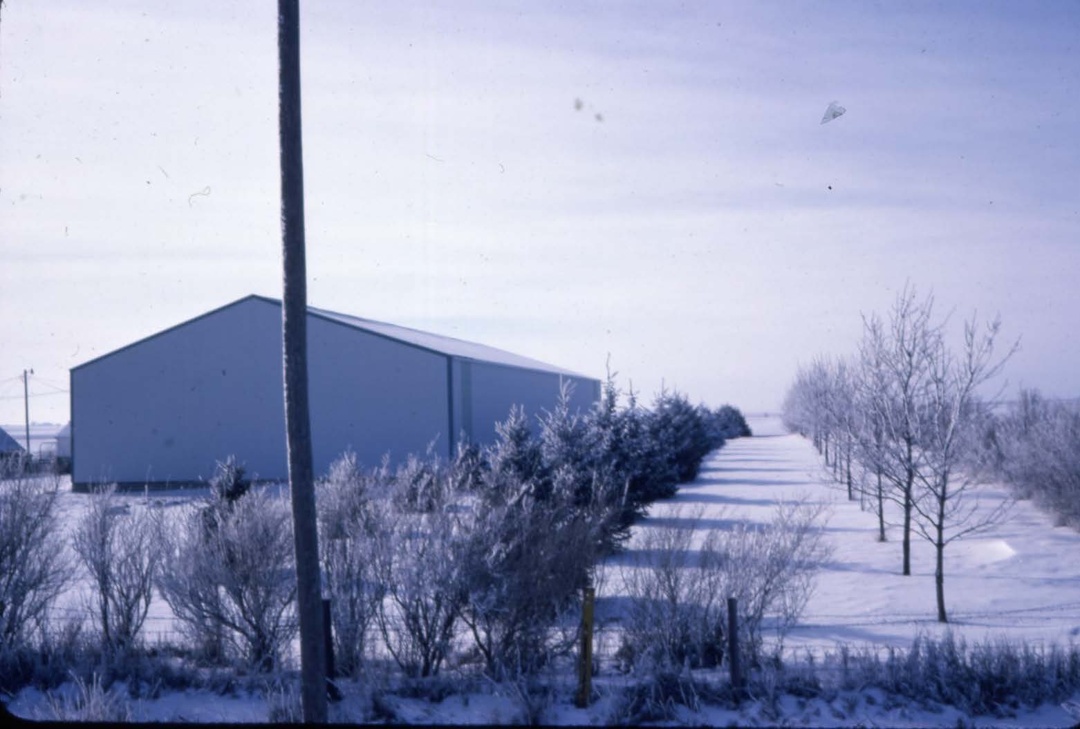 R.D. Thomsen windbreak
