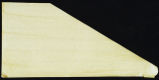 Delta Wing Collins Drone