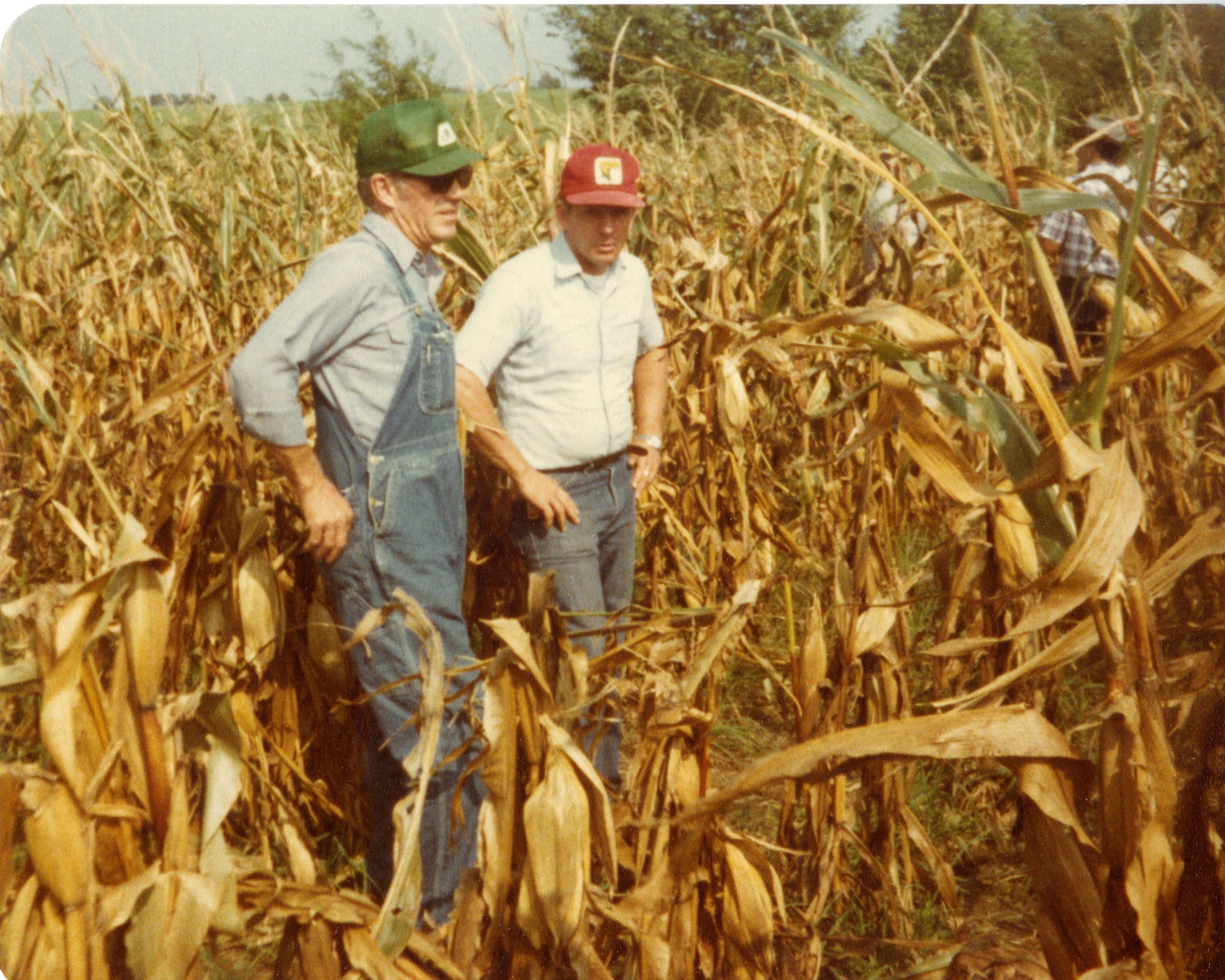 Two farmers in Cornfield