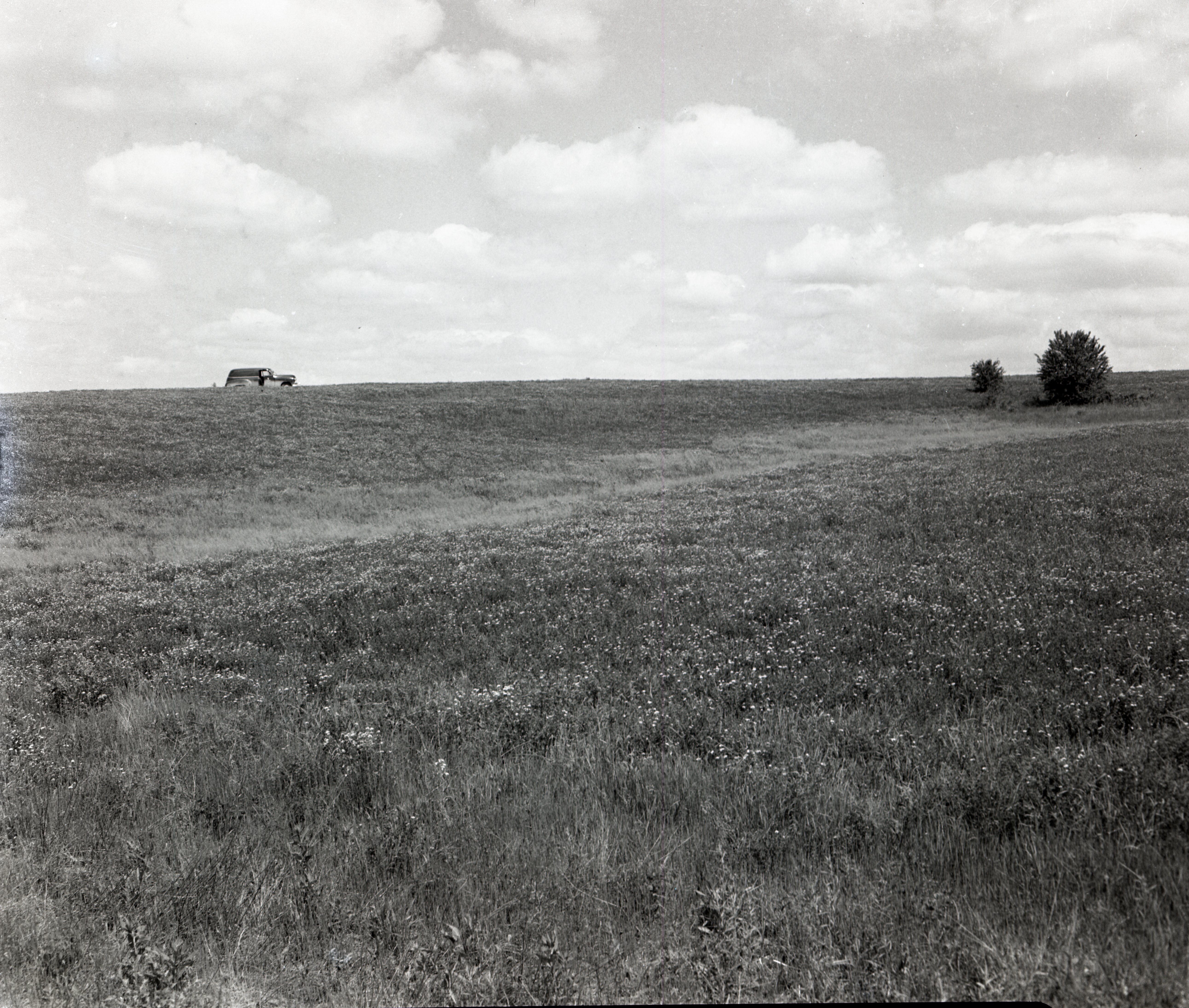 Views of Pasture and Grasslands