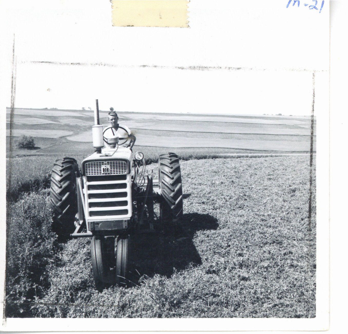 Donald Gray on Lorianne Gray farm, 1964