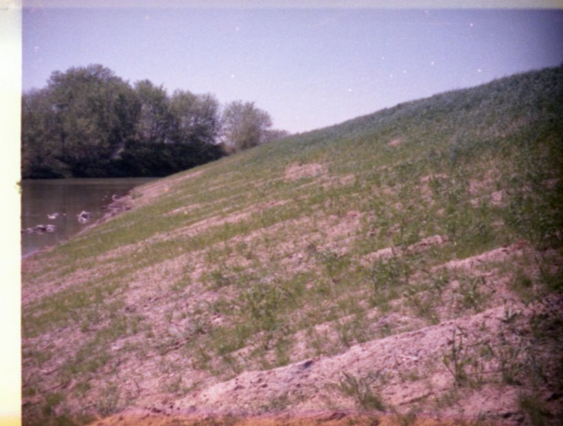 Grassy Hill Slopes to Lake