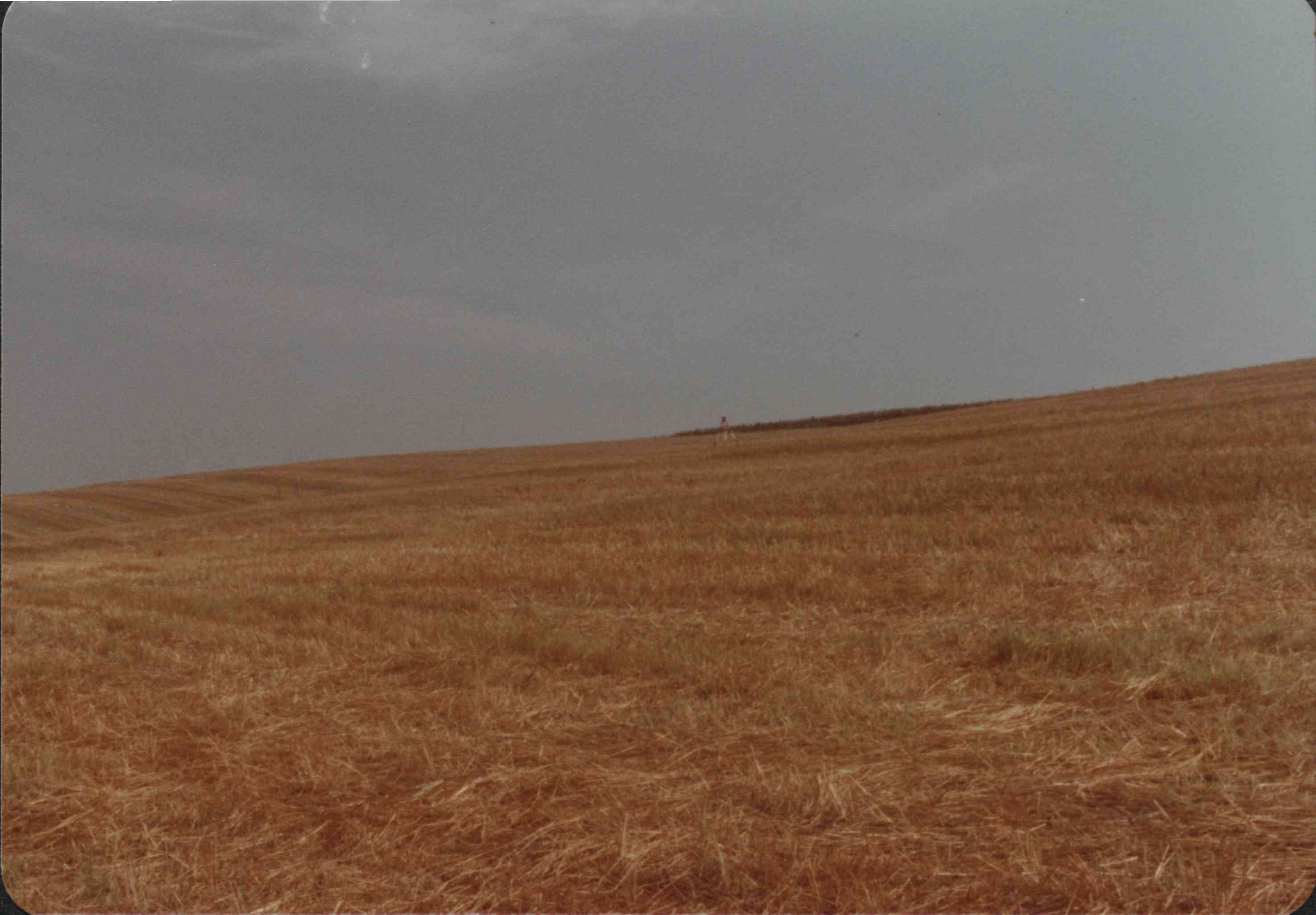 H. Tooker Structure site