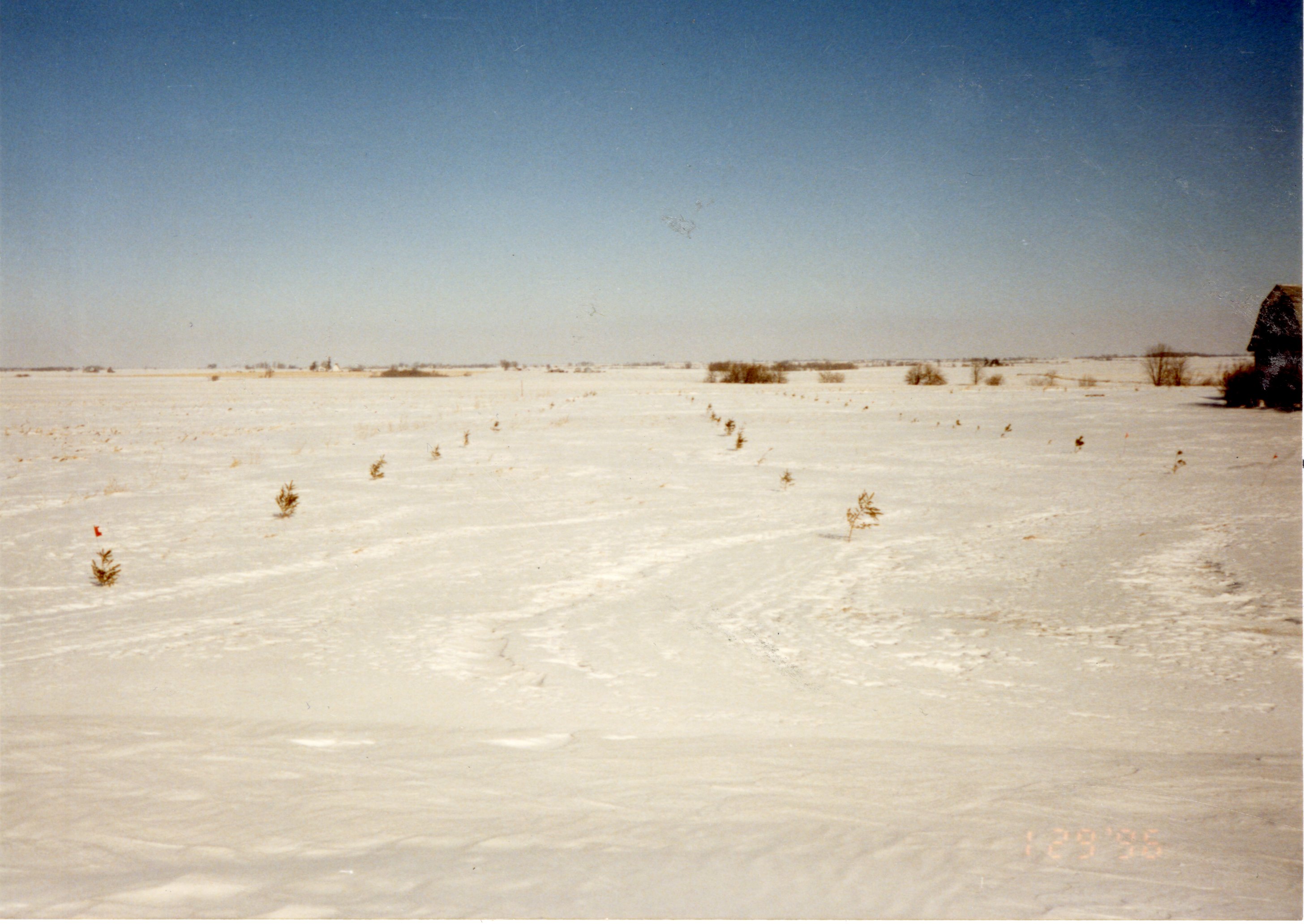 1990's  Windbreak built by Dean Vantiger