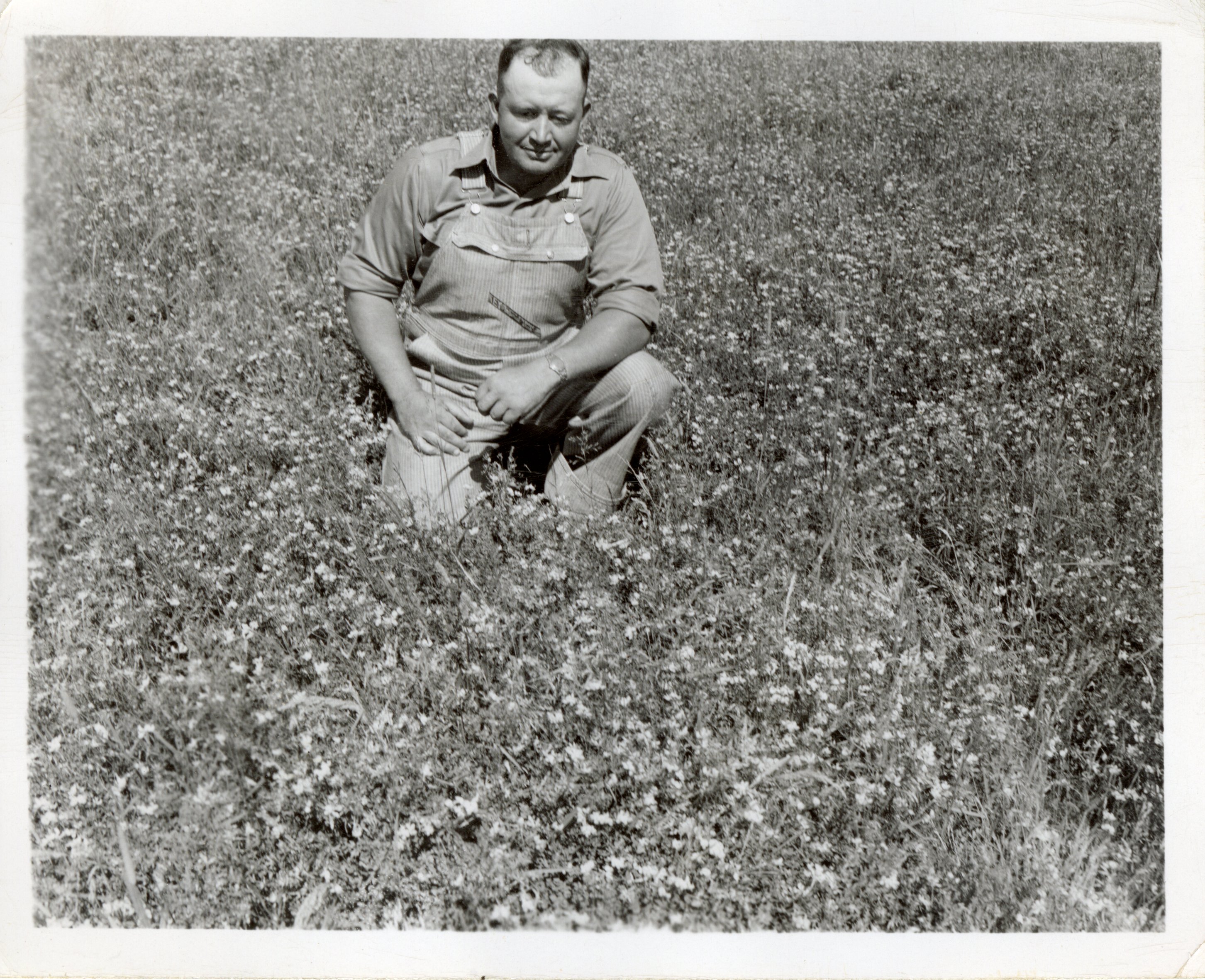 Dewey Harper Kneels in Grass