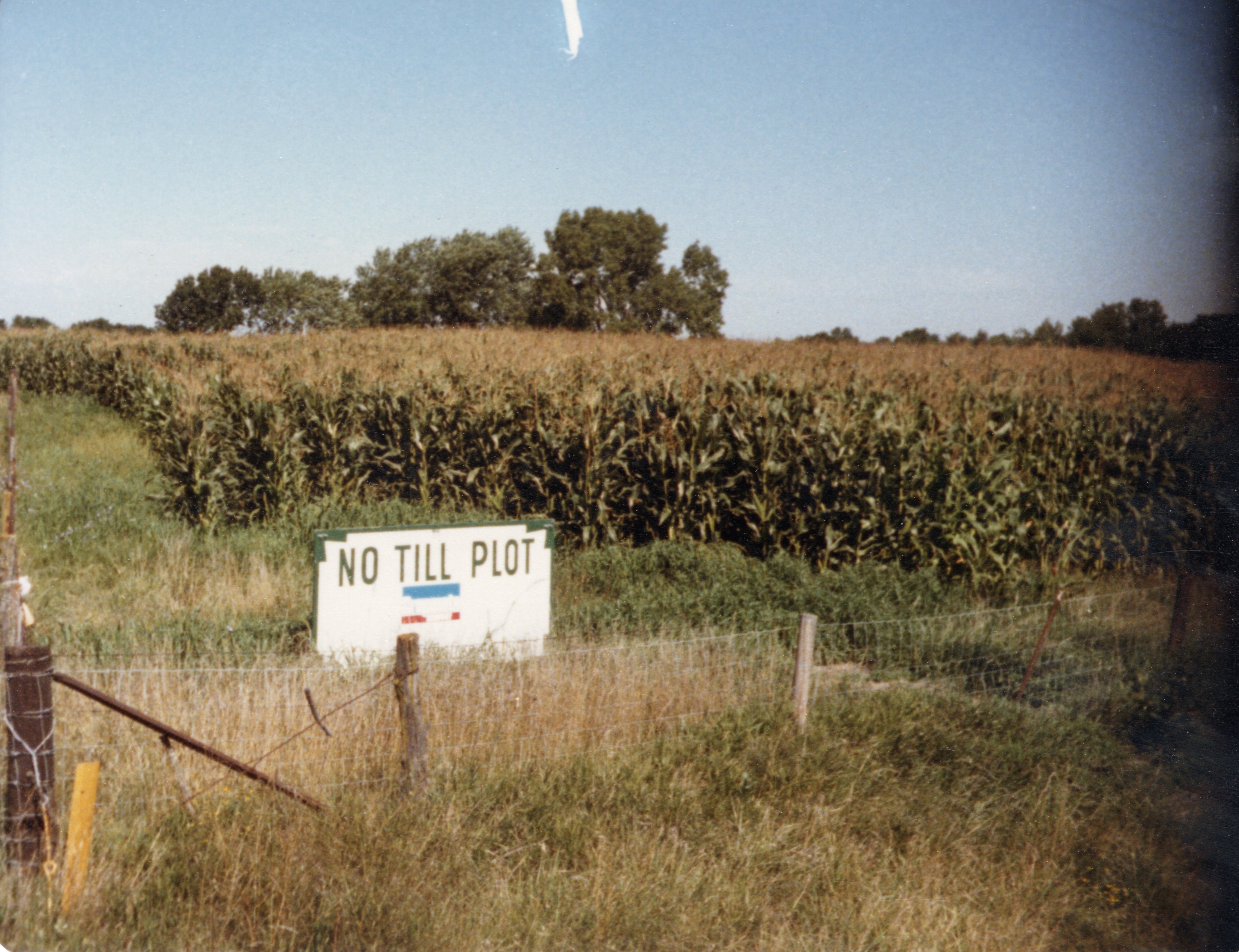 No-Till Plot Sign in Cornfield