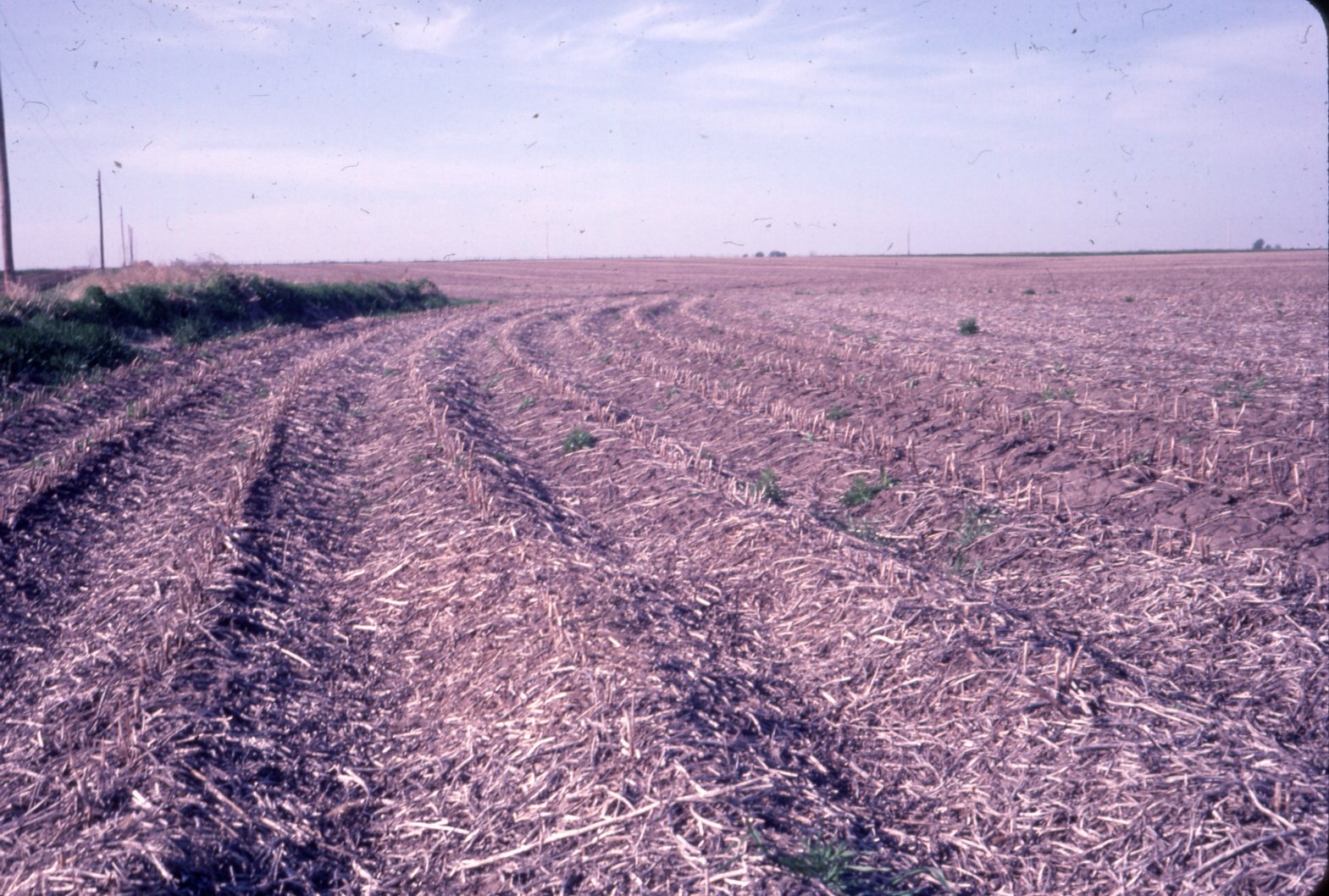 No-Till farmland, 1983