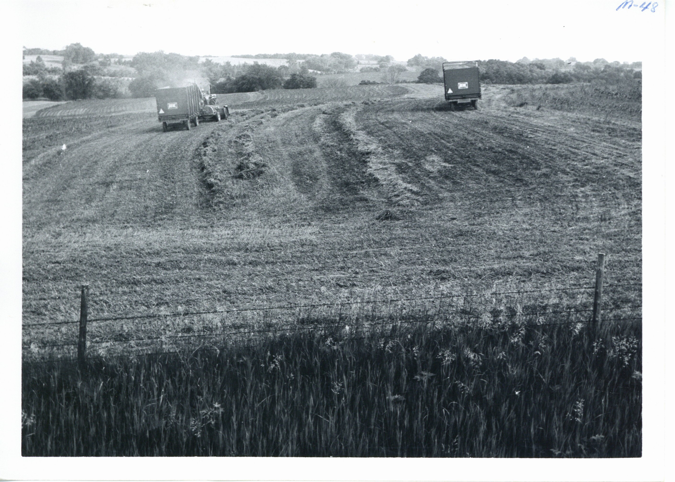 Chopping haylage, 1967