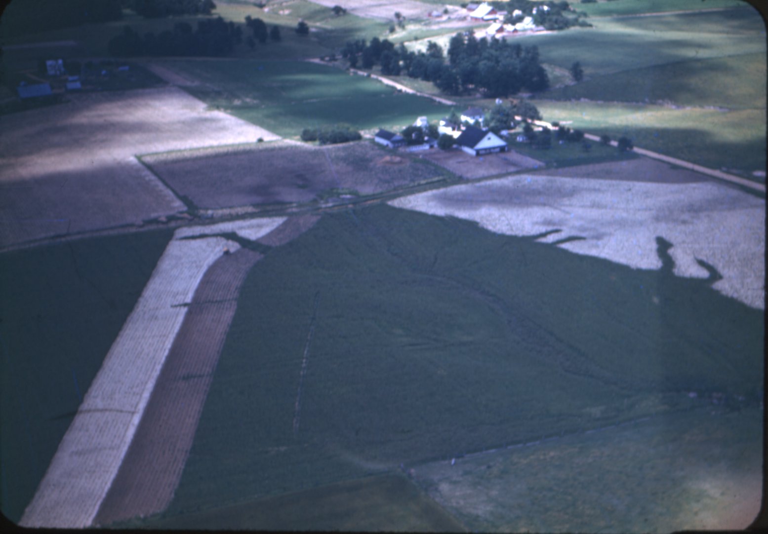Vernon Stauffer strip farming, 1946