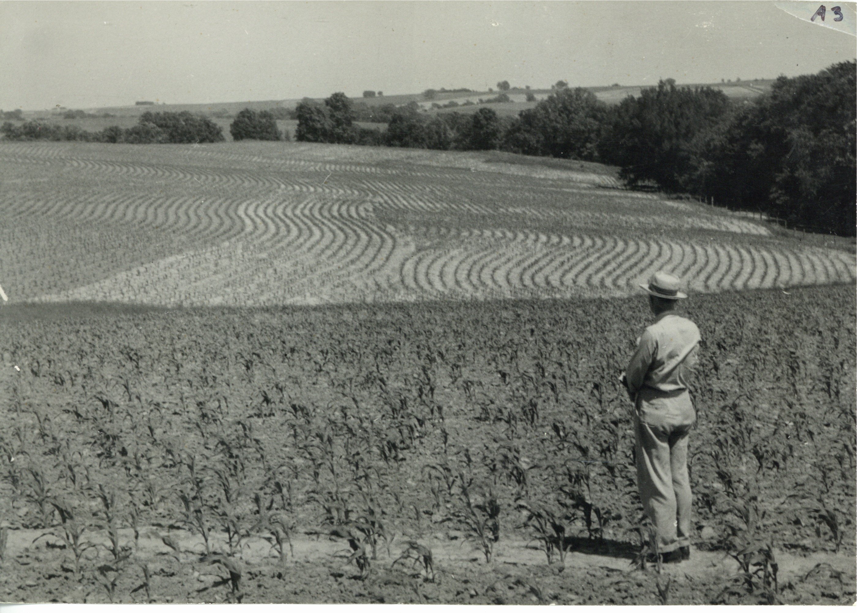 Edmunud Sommers countour farming, 1945
