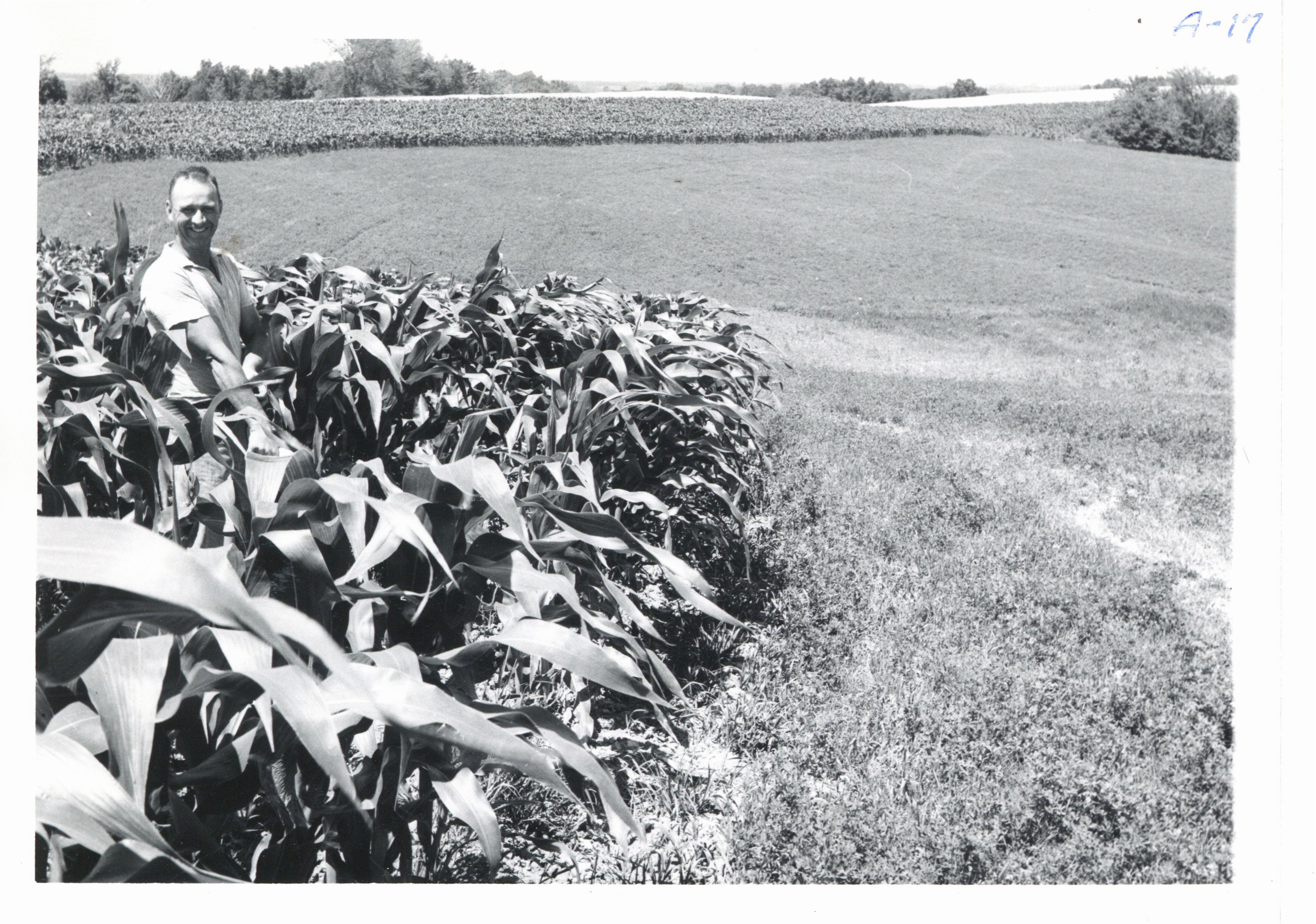 Contour strips on Lyle Felten land, 1967