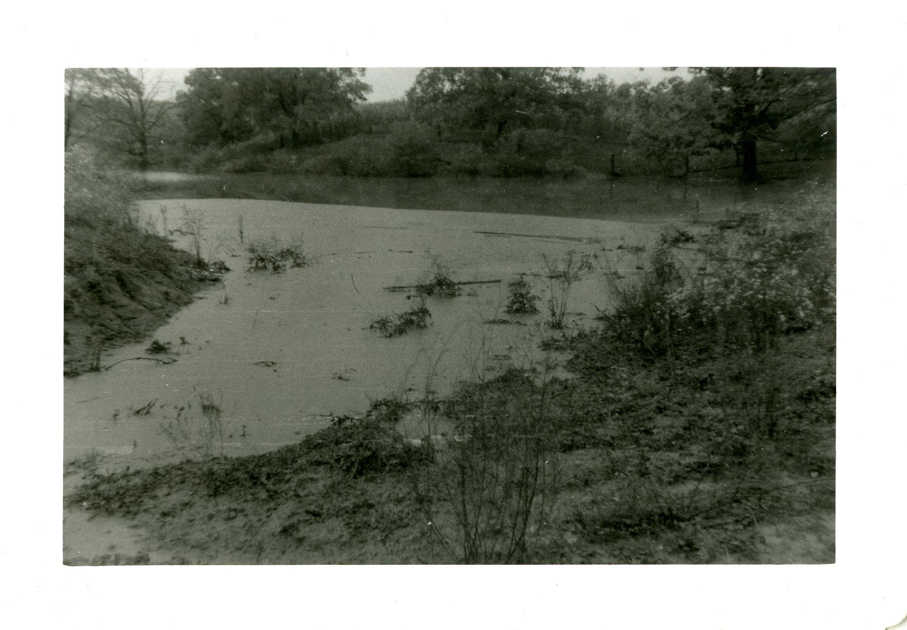 Clift Bennett Farm Pond, 1959