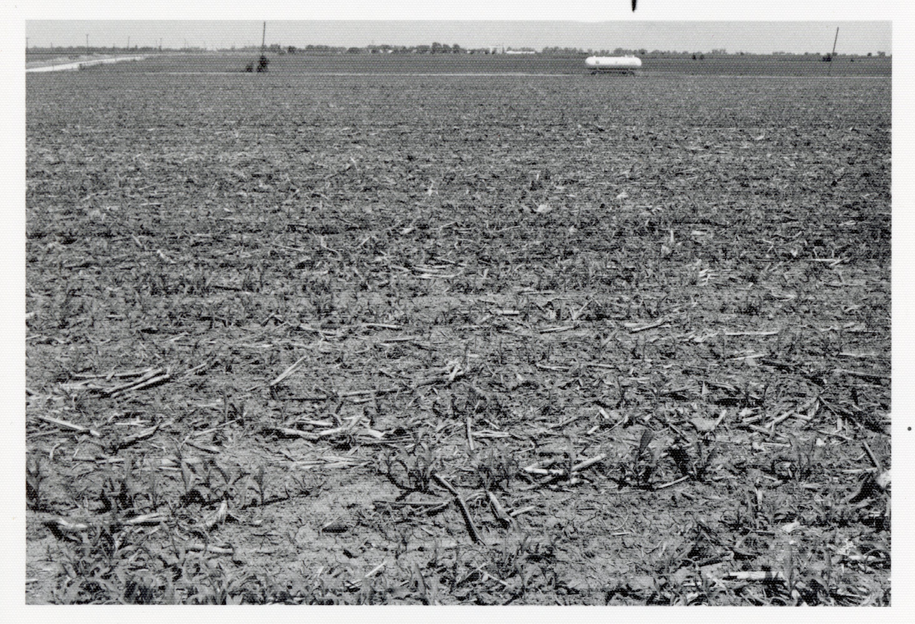 Field after crops are harvested
