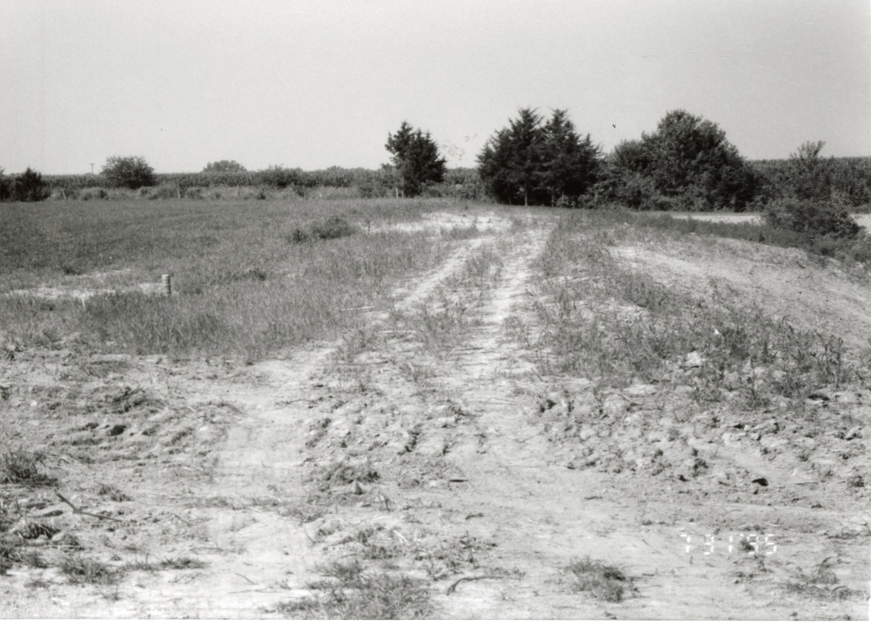 1995 Terraces on Dale Edmonds' Farm