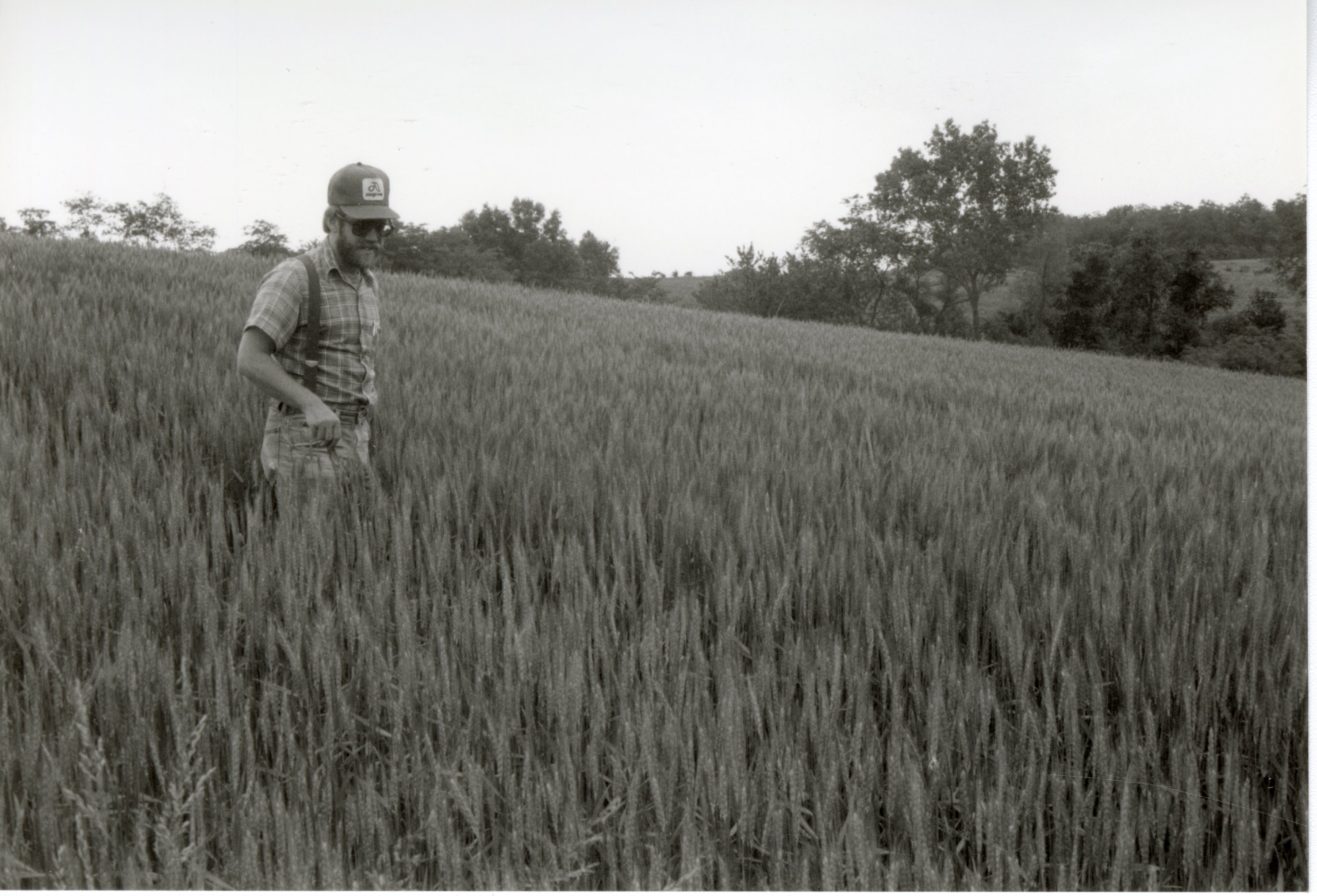 Man with hat, sunglasses, and beard in grassy field