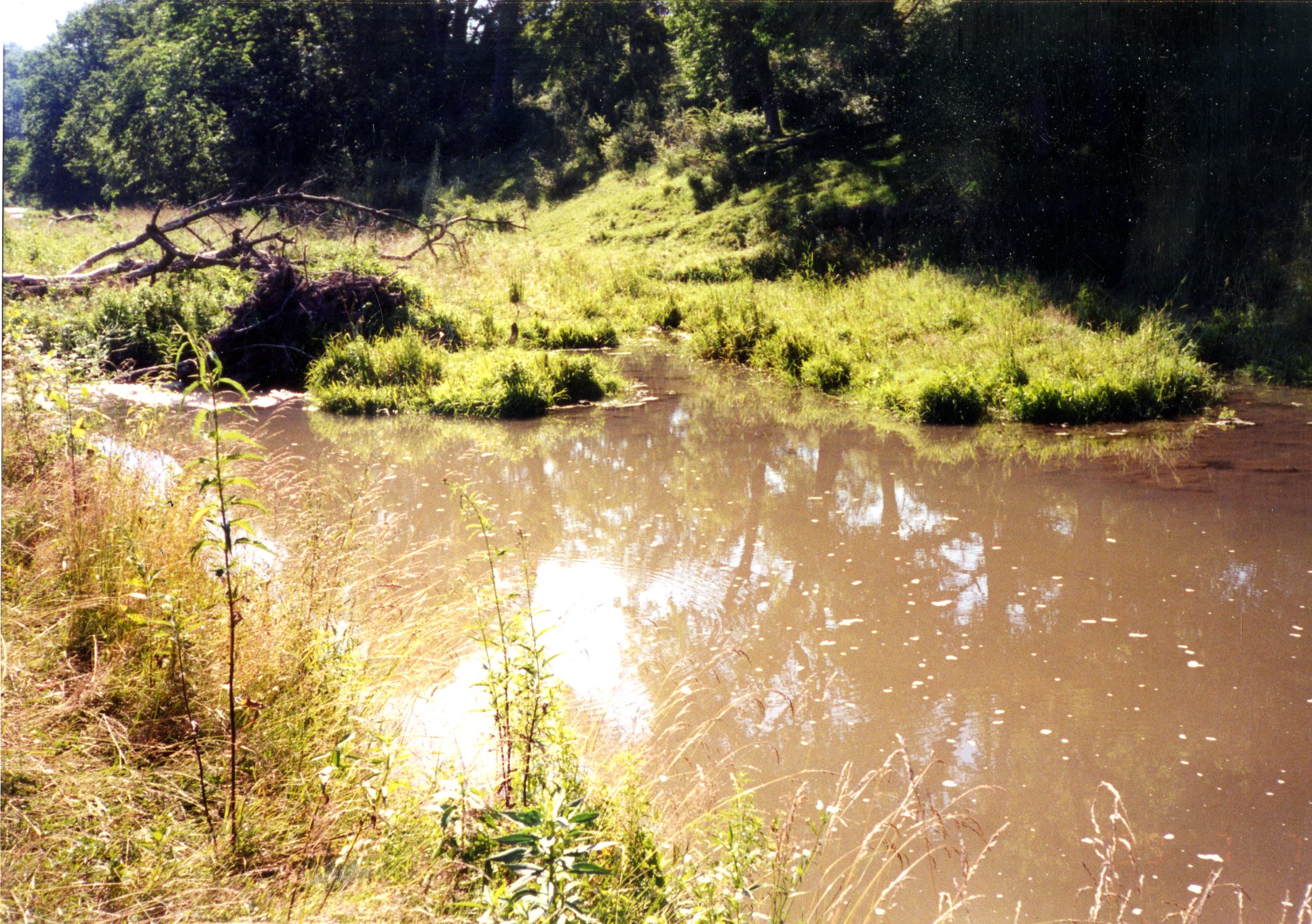 Jack Dunn project, 1999