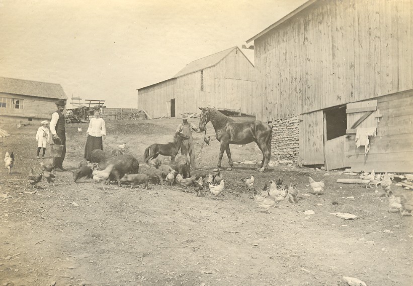 Group of 4 at Farm 