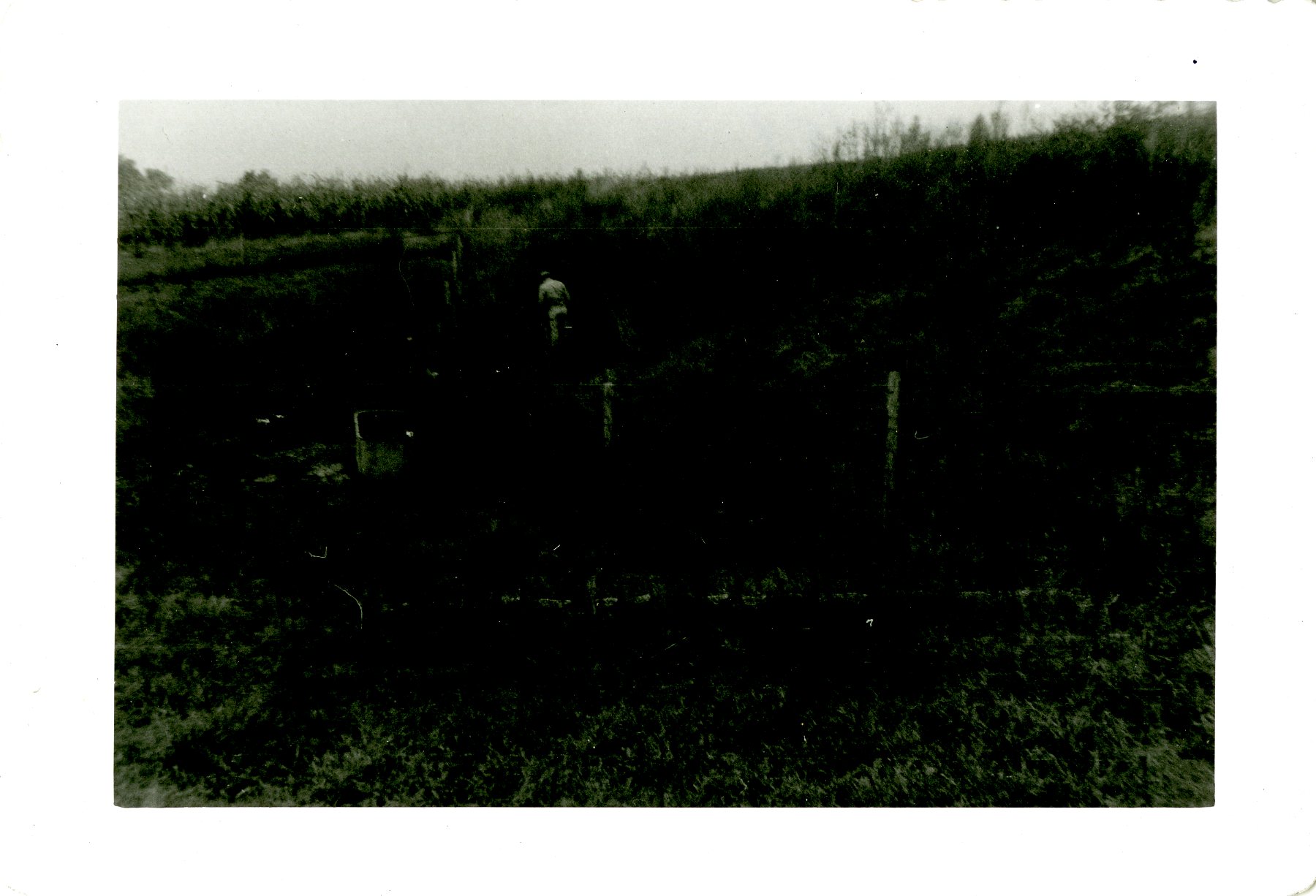 Backside of Dam on Ralph Utter farm, 1959