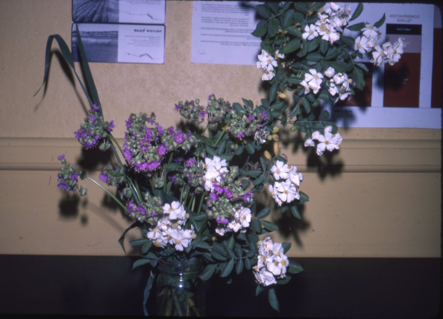 Wild rose bouquet, 1983