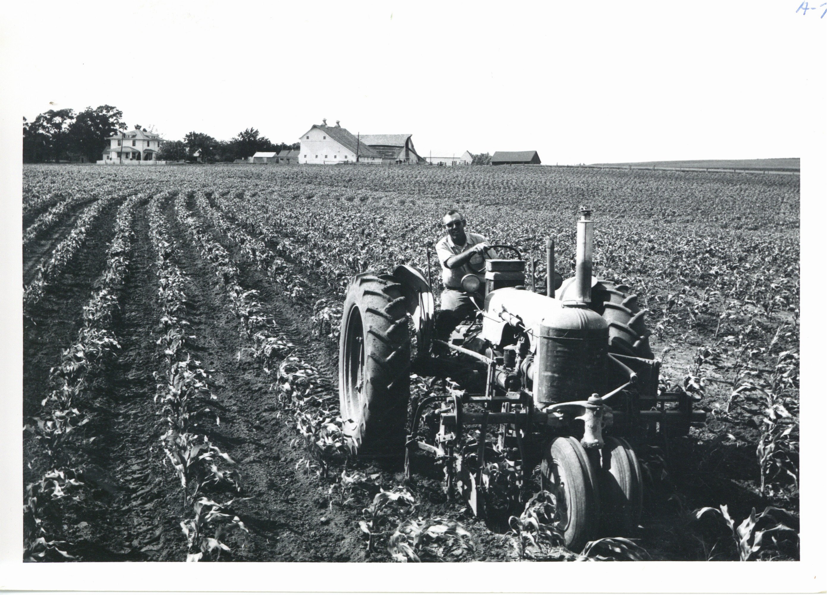 Glen Eads cultivating corn, 1963