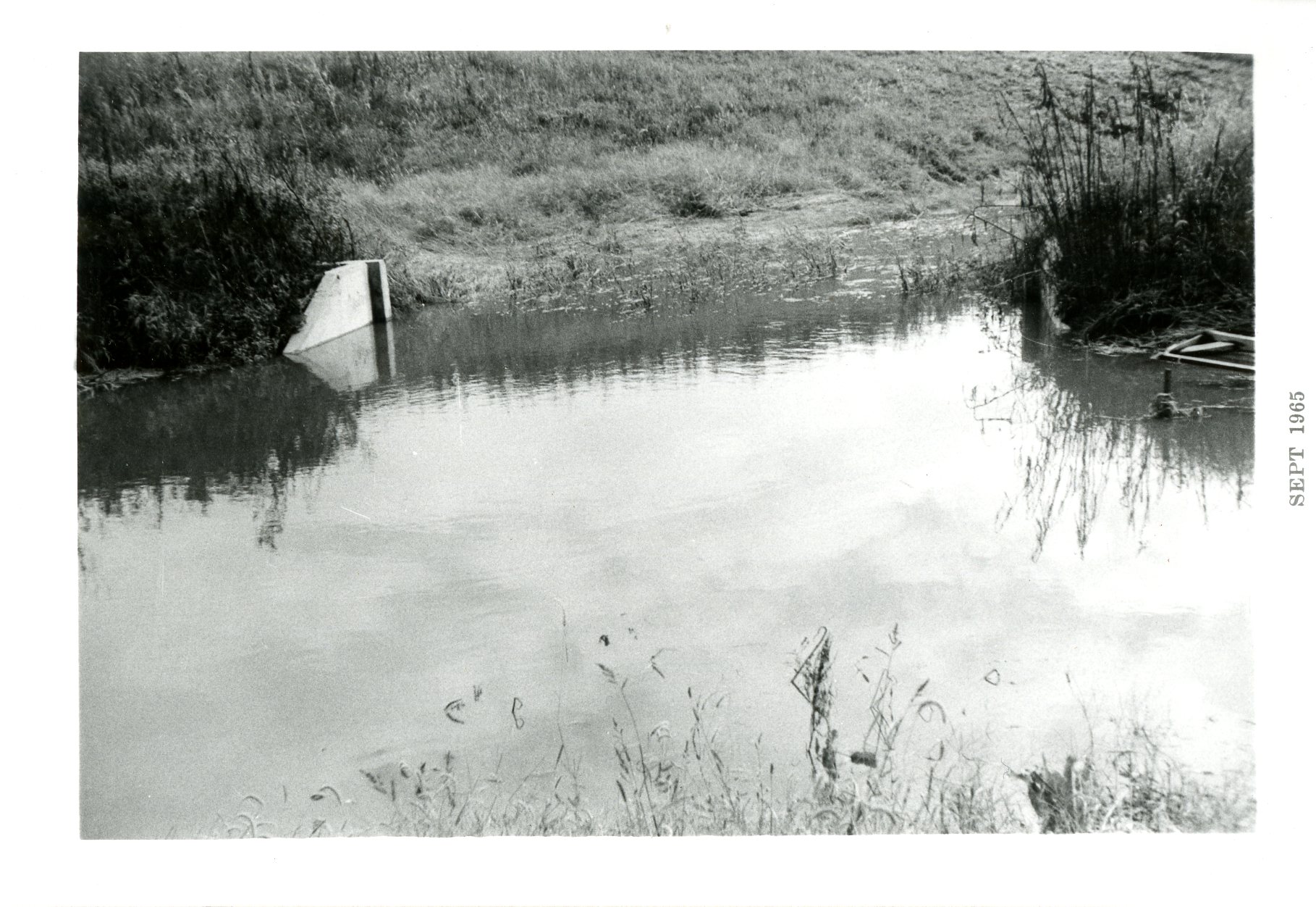 M. Nichols Structure, 1965