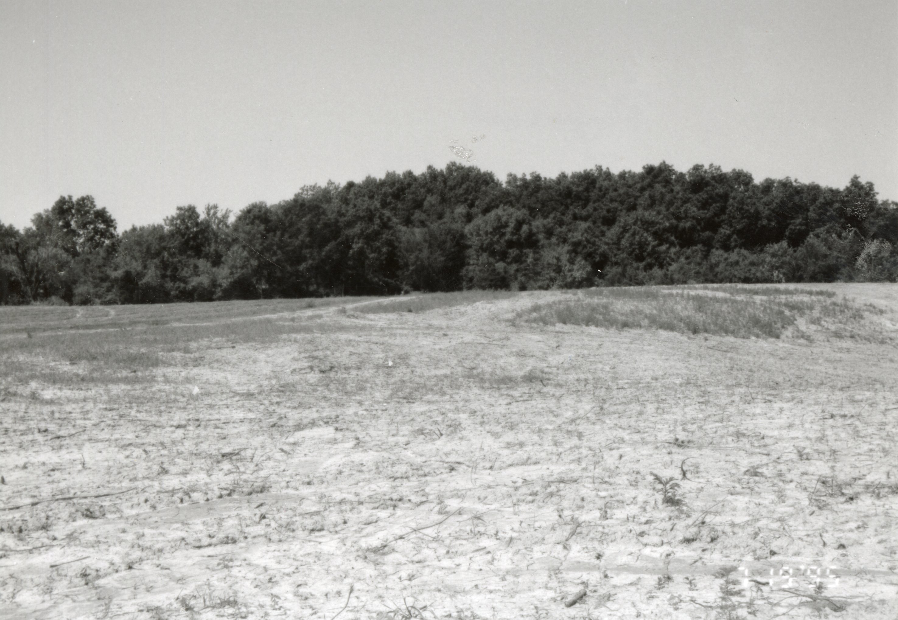 1995 Proposed Terracing Project site on Dale Edmonds' farm