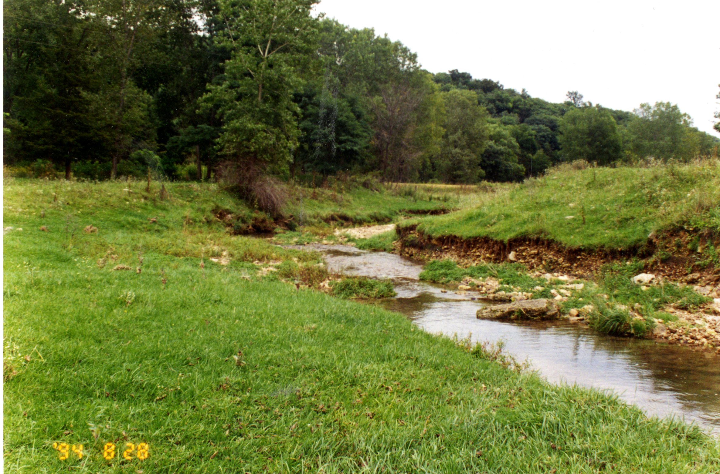 Steve Rolings's water quality project, 1990s