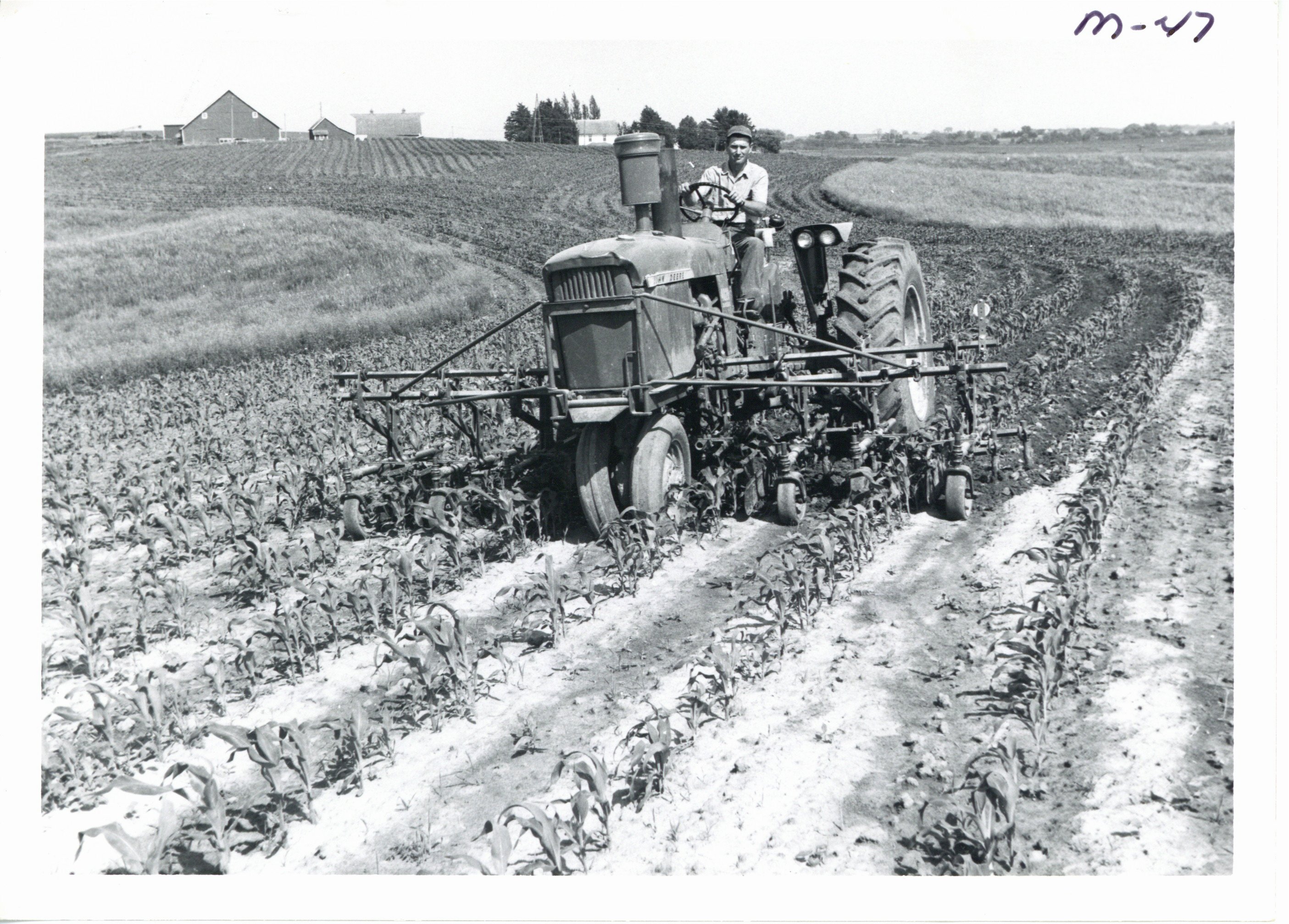 Richard Henneberry cultivation of contour strip of corn, 1967