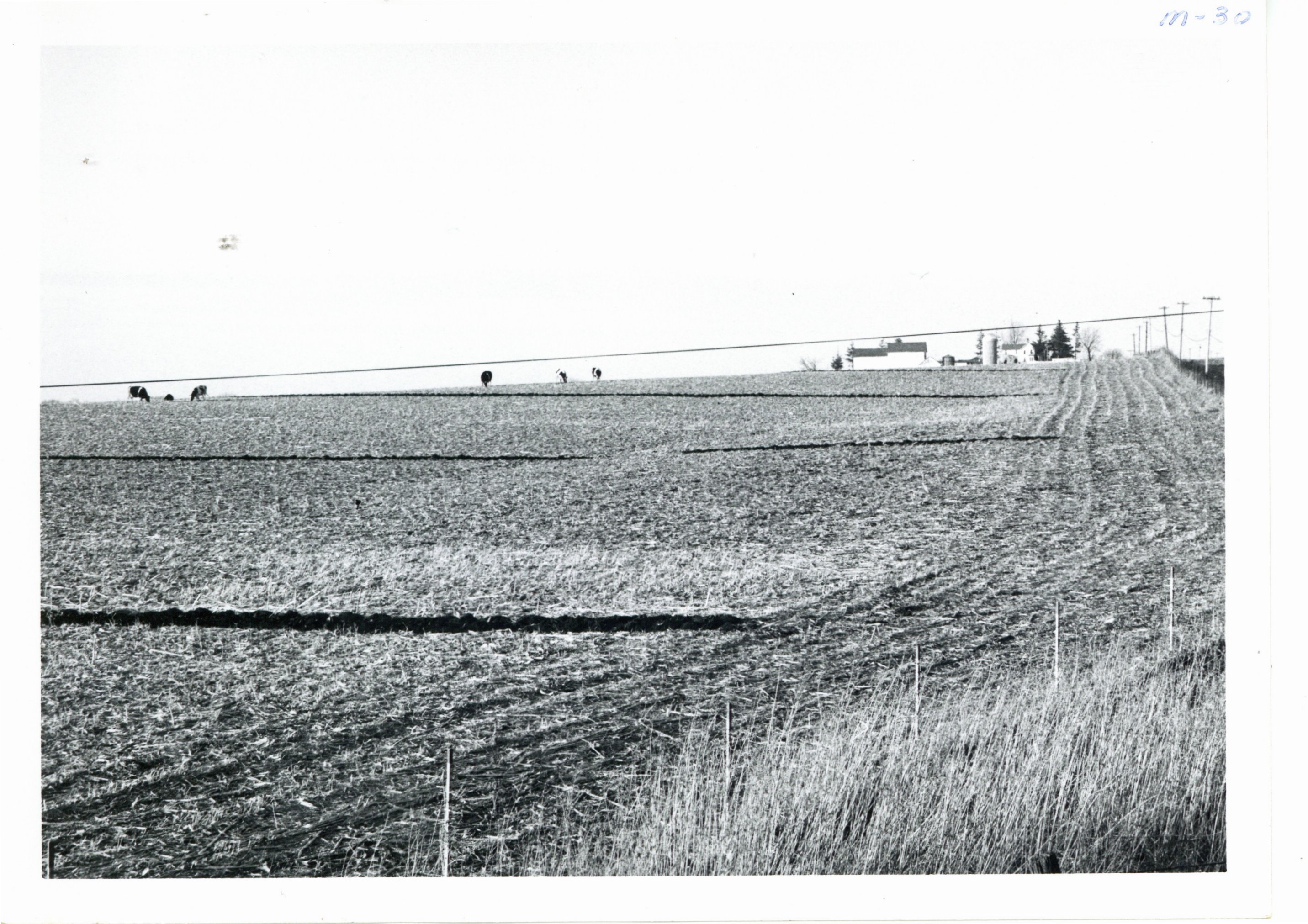 Robert Horst farm contour strip cropping, 1964