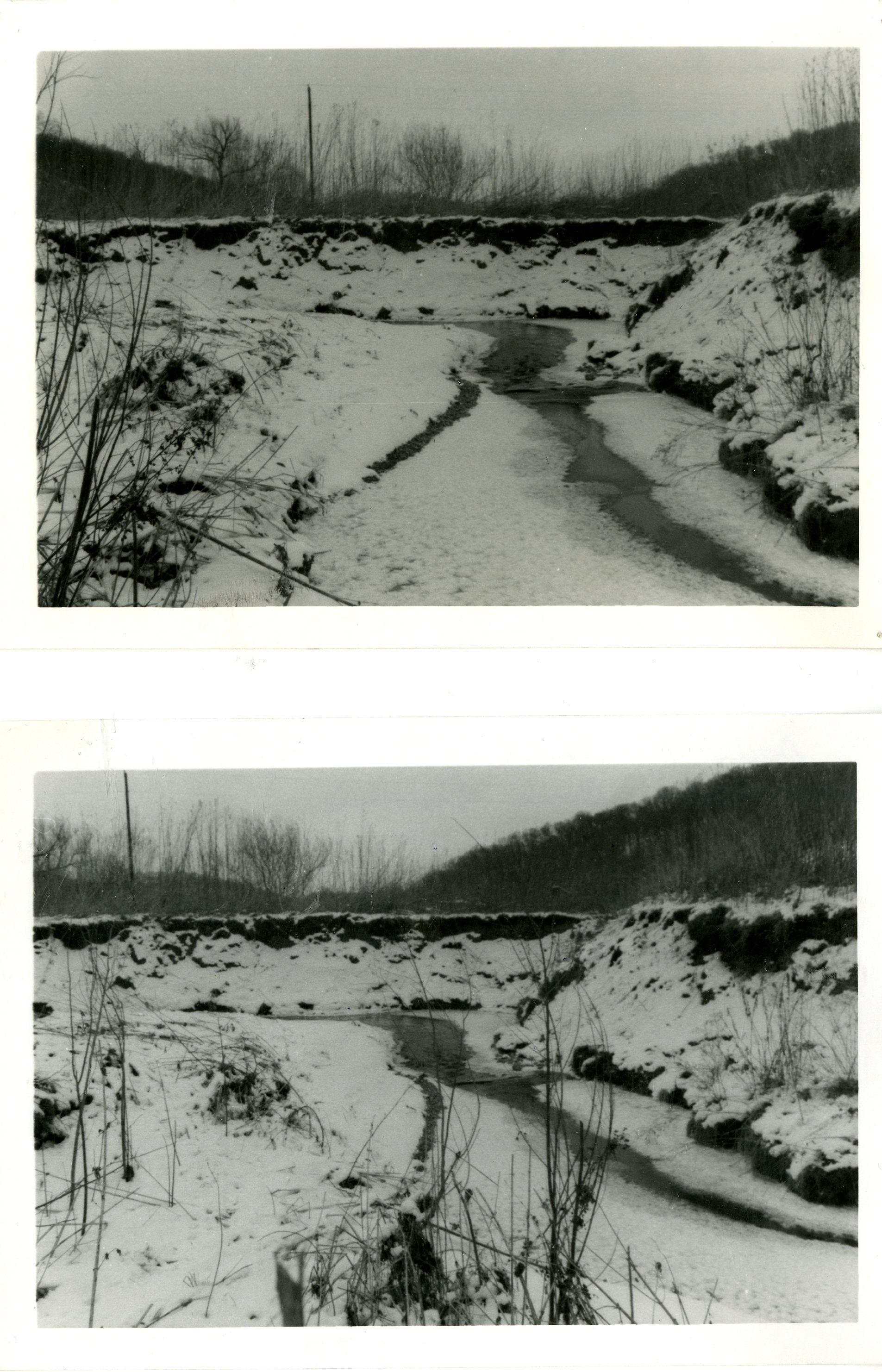 Big Mill Creek, 1981
