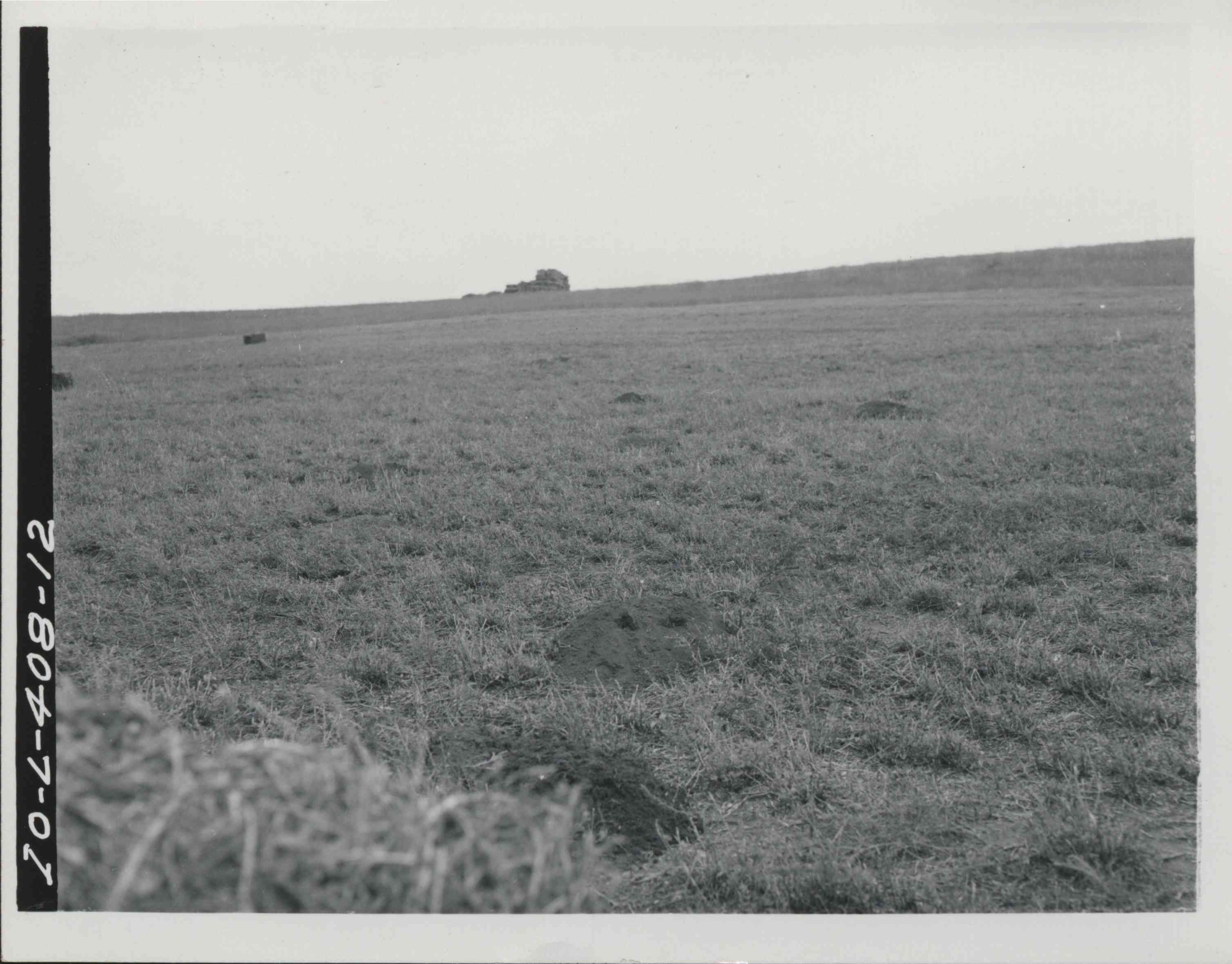 Unidentified pasture land with hay bales stacked in distance