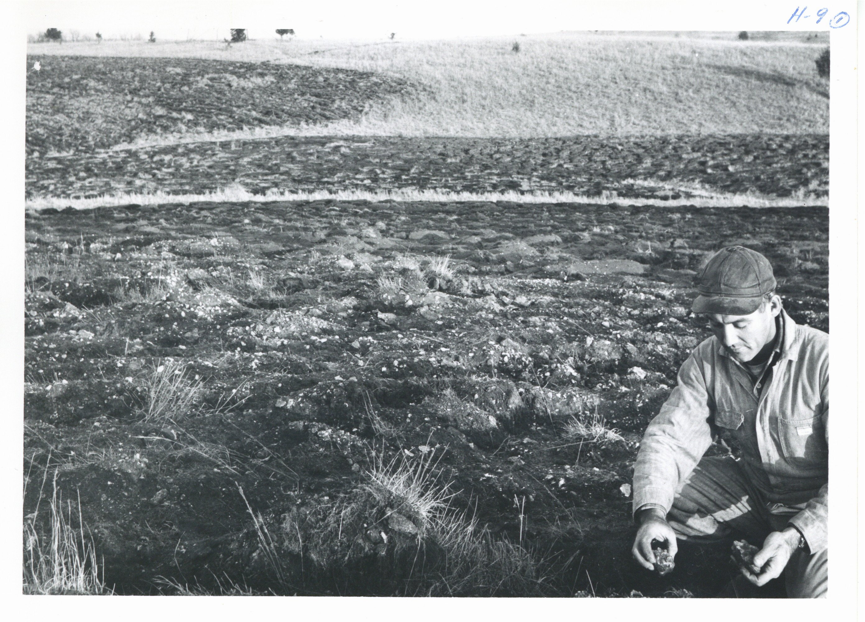 Glen Eads farm pasture renovation, 1965