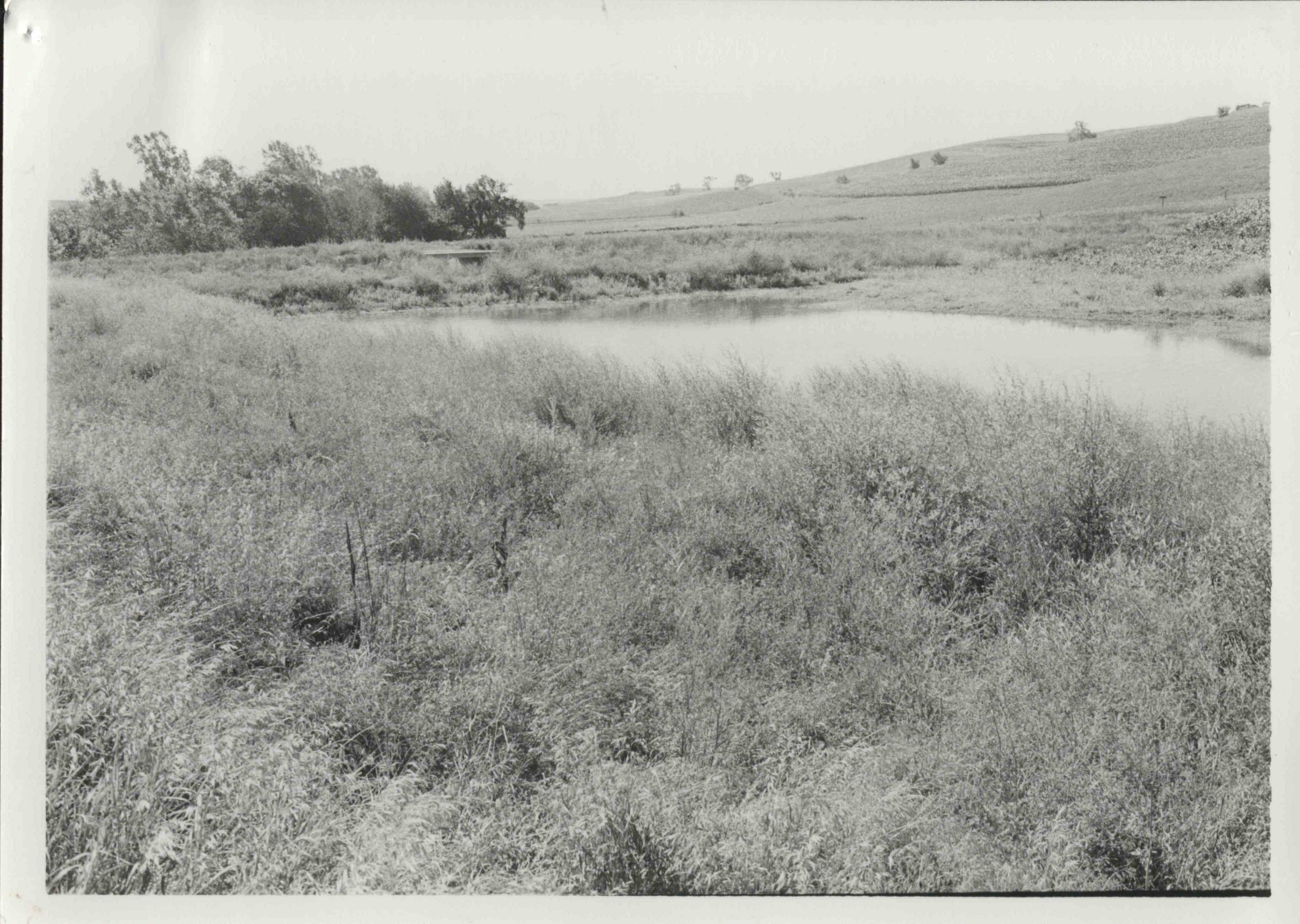 Pastureland with watershed waterway and trees