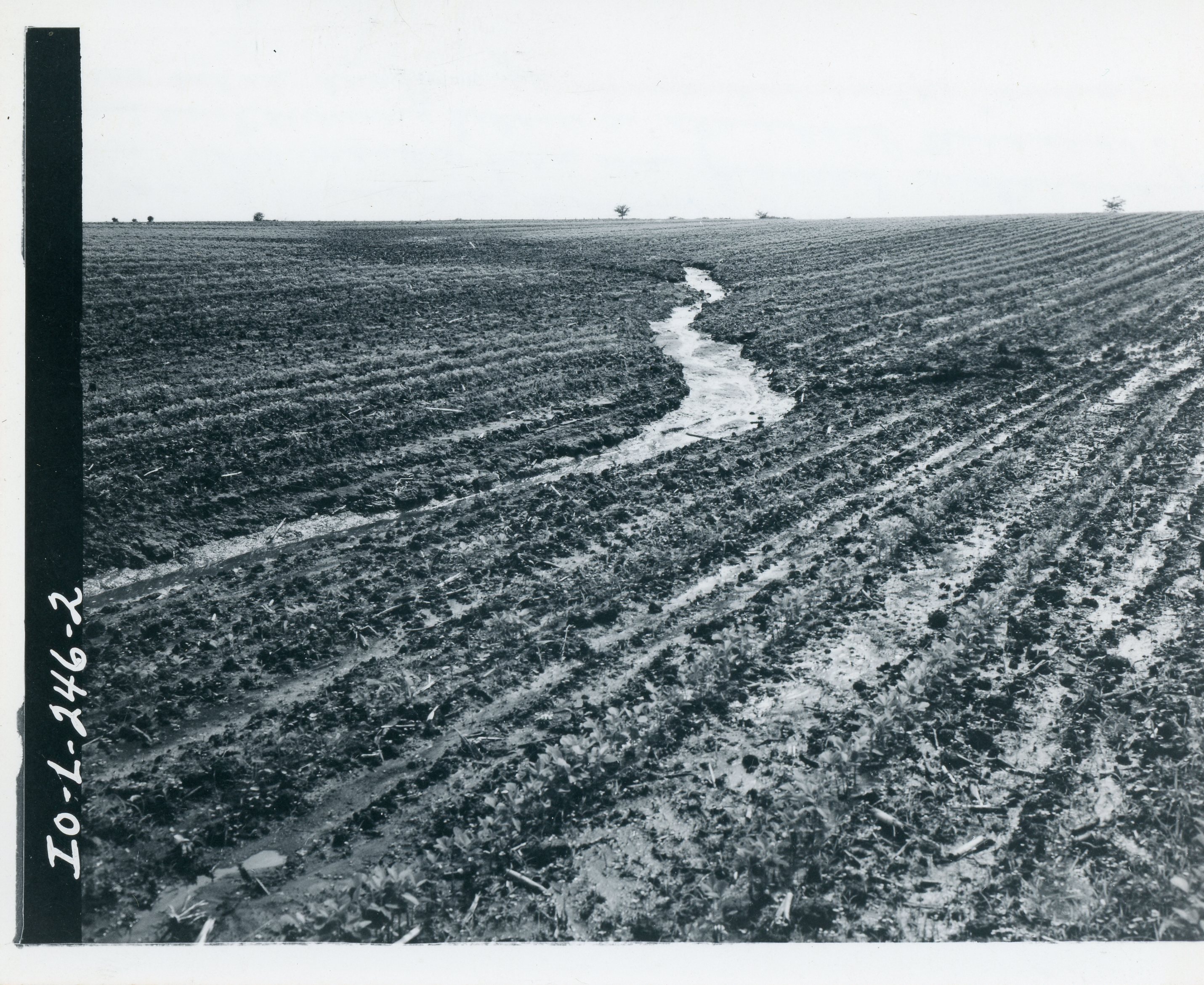 Gully erosion, 1967
